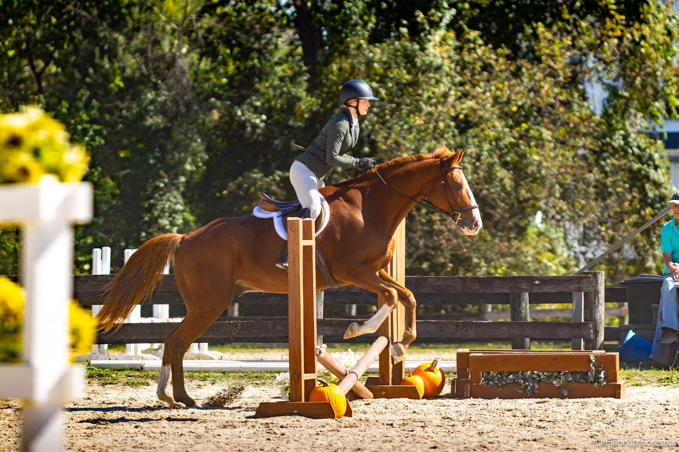 A woman riding a chestnut horse jumps over a wooden obstacle decorated with pumpkins during an outdoor equestrian event, with trees in the background and a man on the right holding a pole.