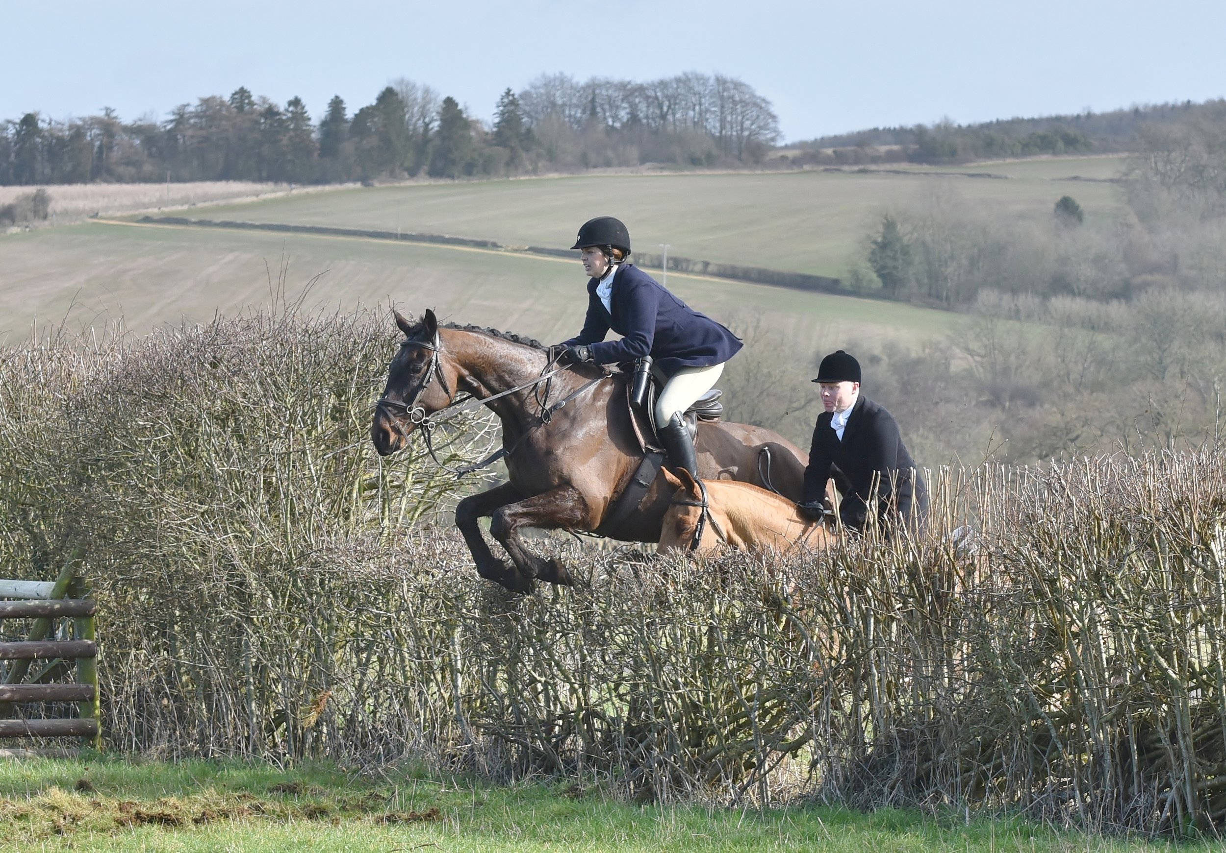 Two people riding horses over a hedge in a rural landscape.