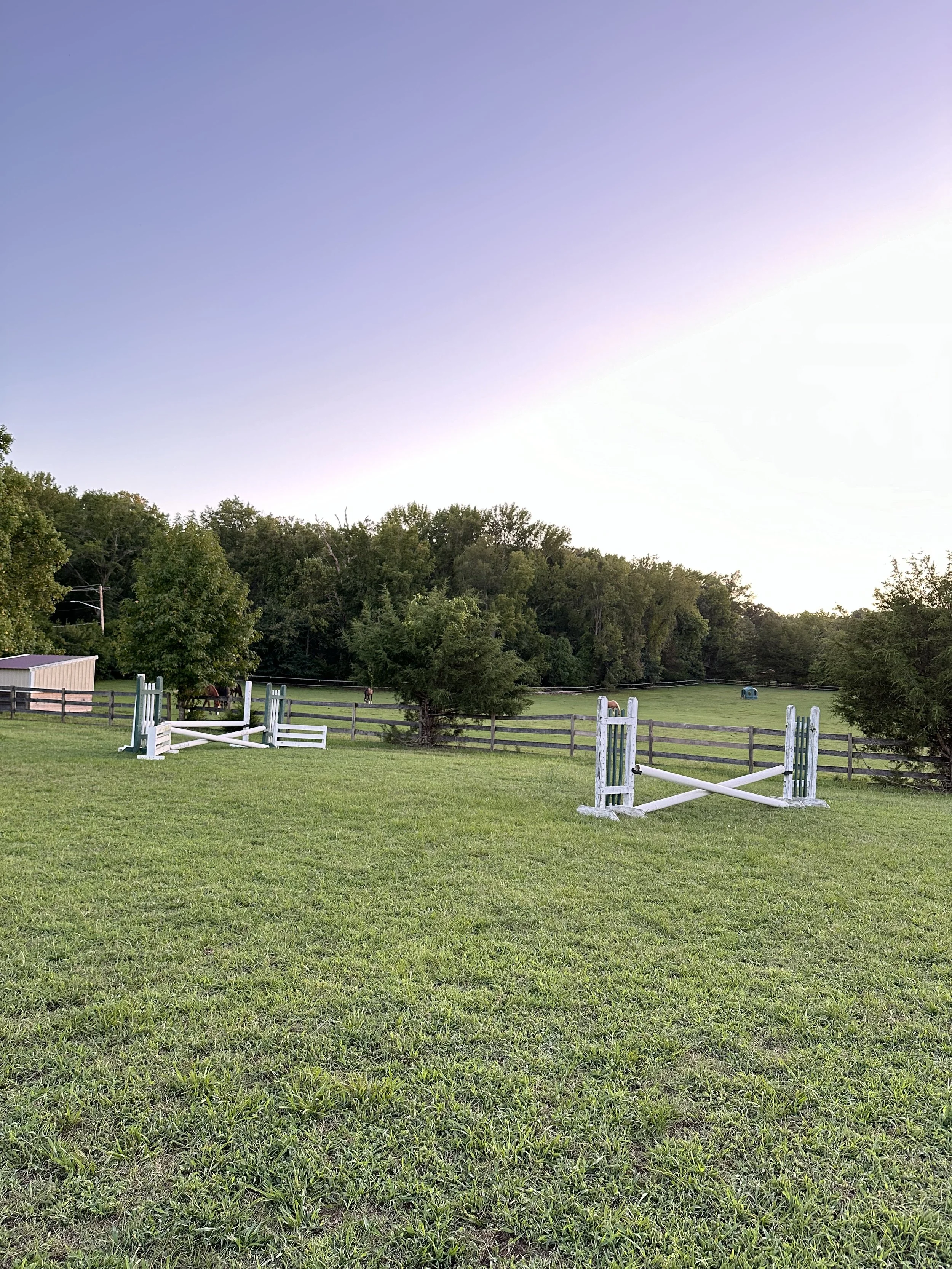 A grassy field with two white horse jumps, surrounded by trees and a wooden fence, under a clear sky.