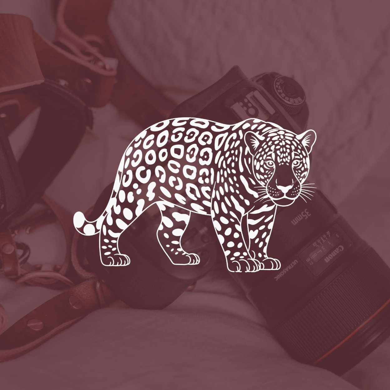 Product Photography / Videography