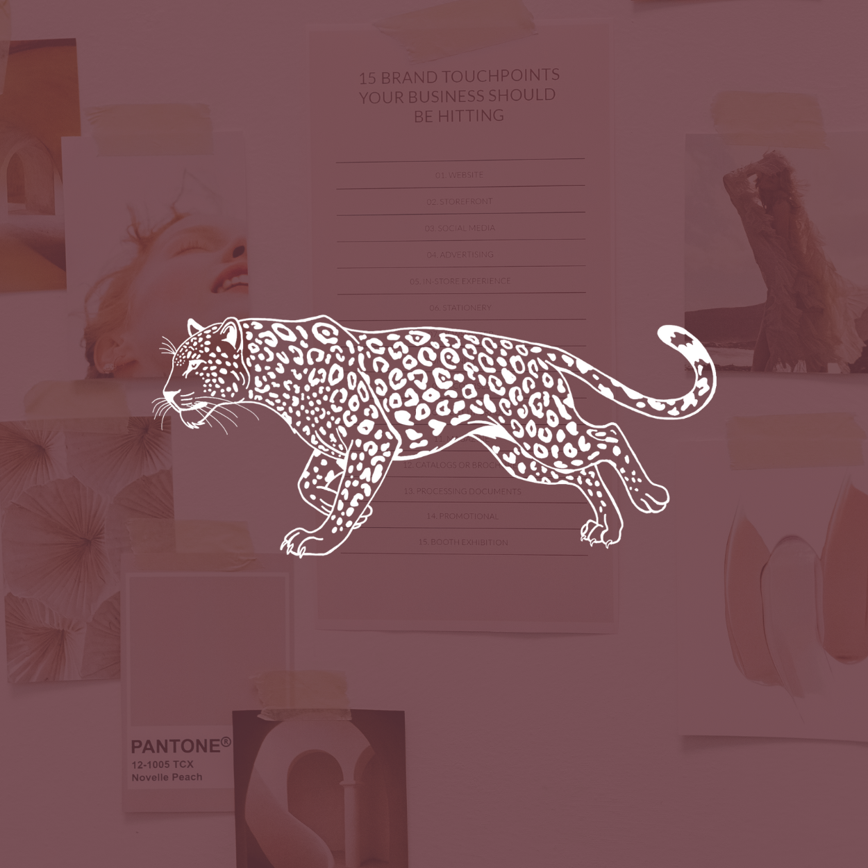 Brand Identity Design