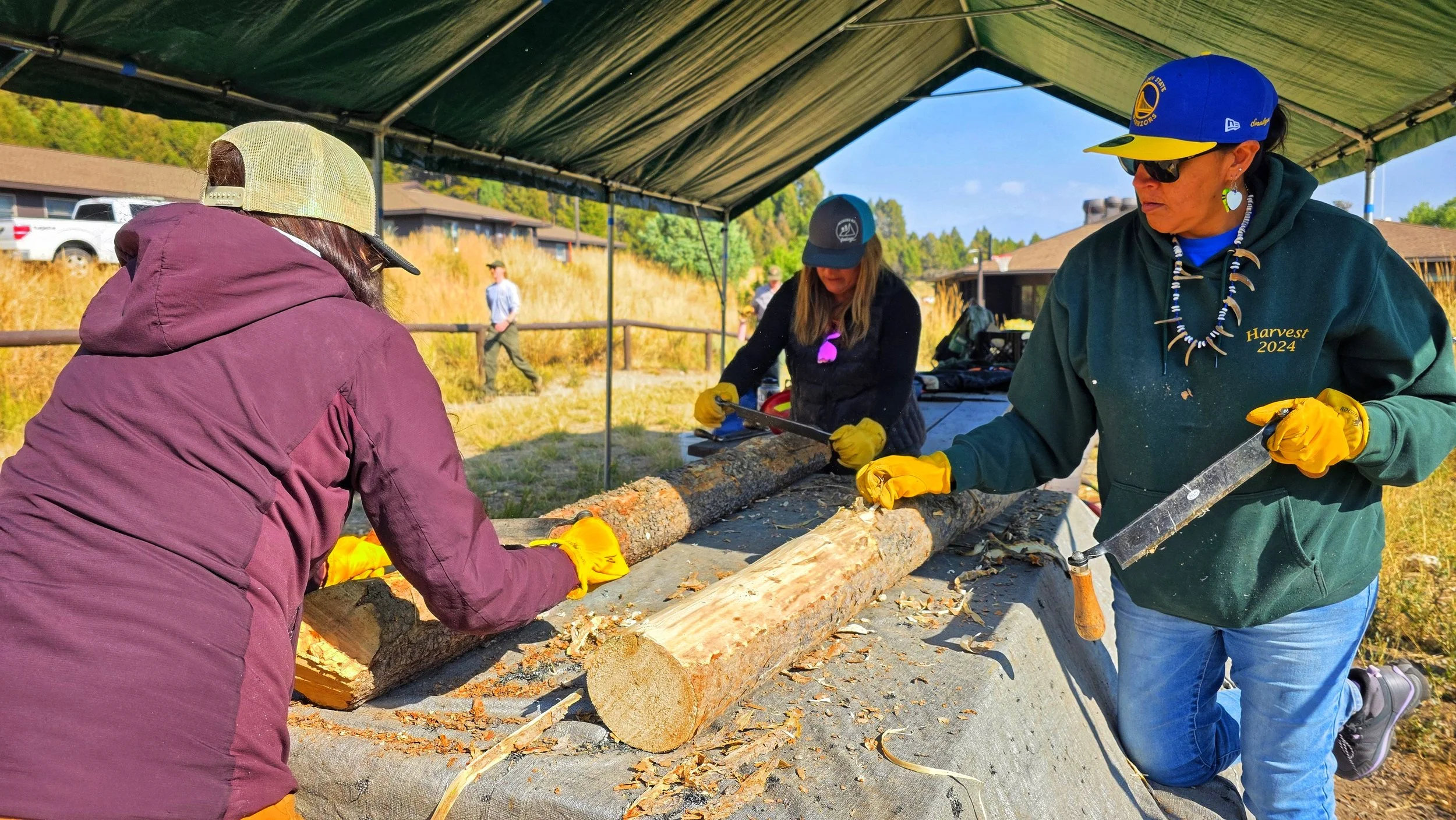Three women cutting logs under a tent with a grassy background and a few people in the distance.
