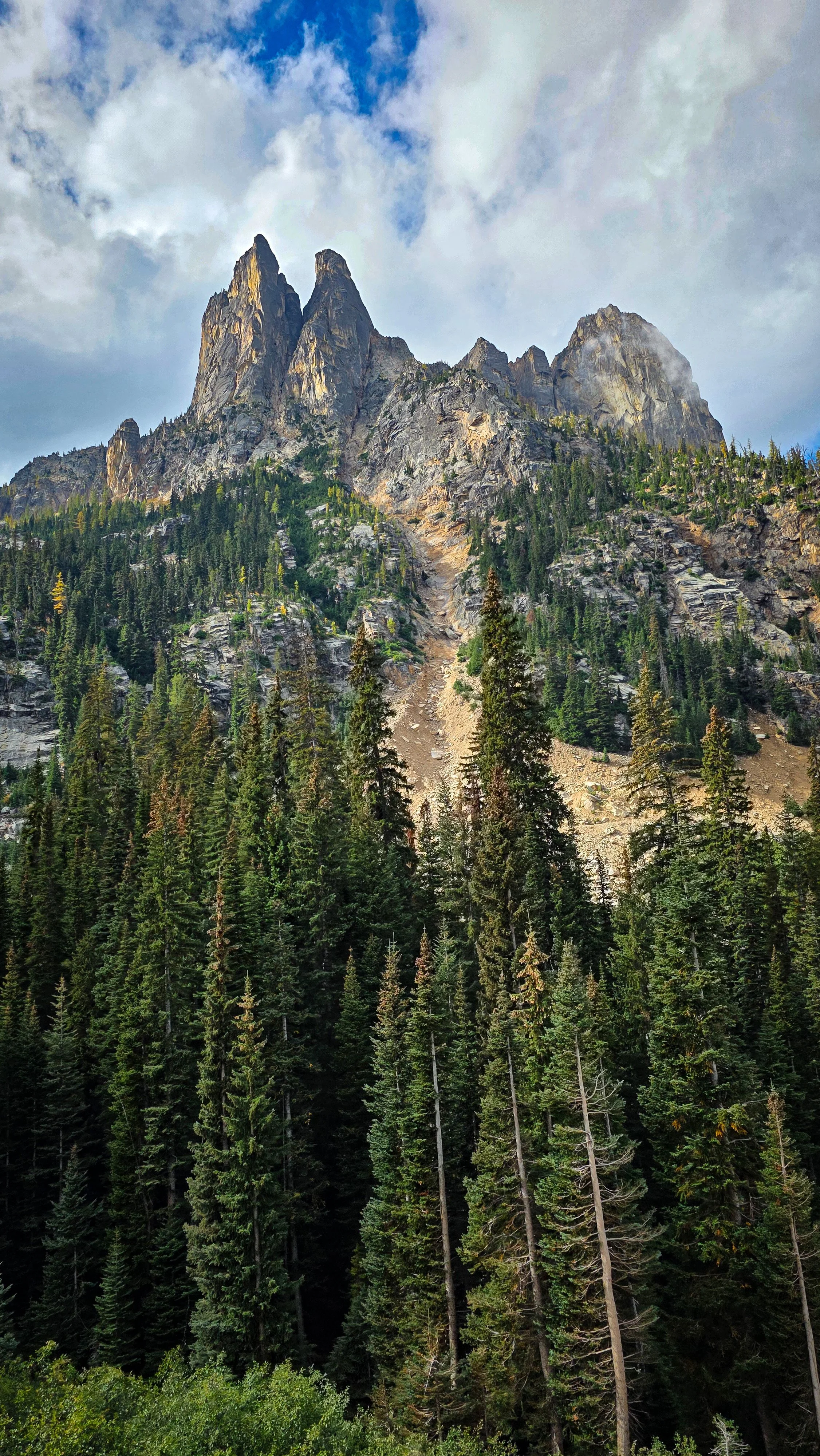Tall pine trees in front of a rugged mountain peak with some clouds in the sky.