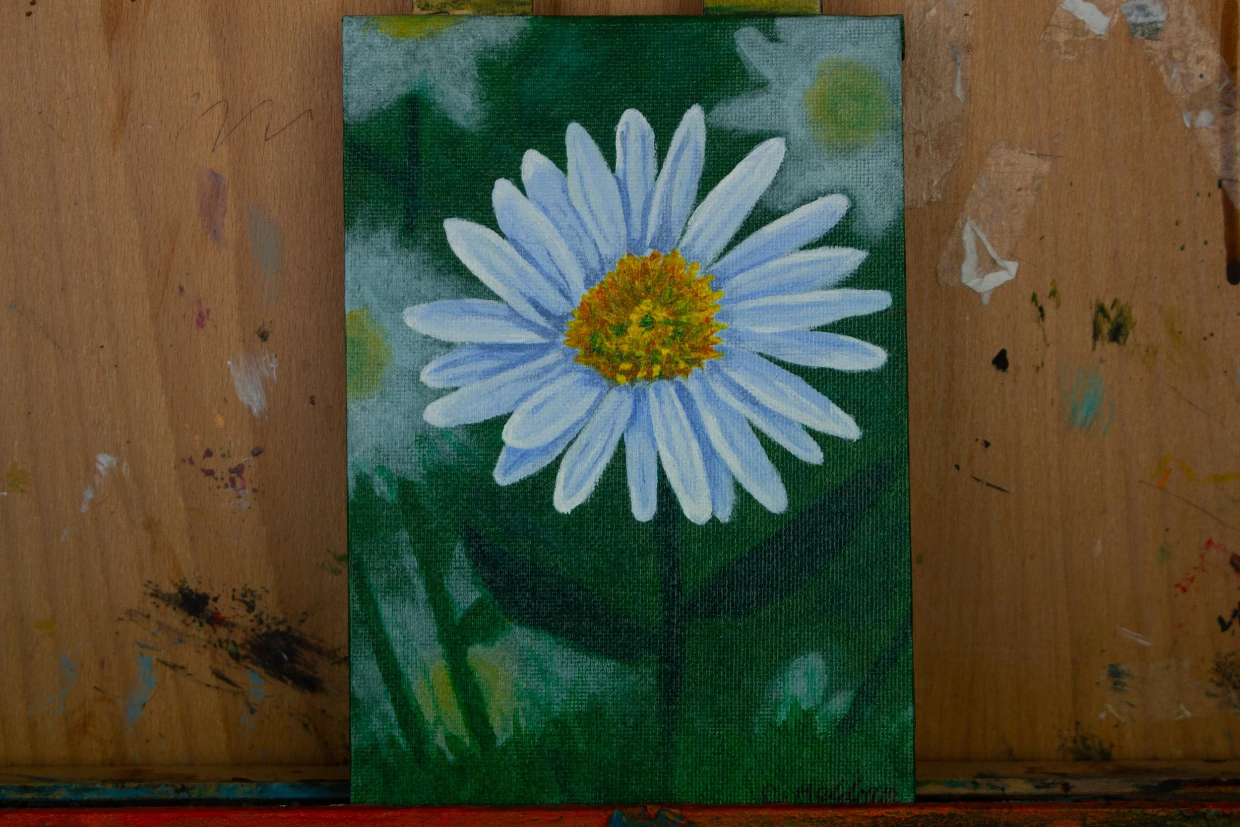 Blooming Daisy (Original Painting)