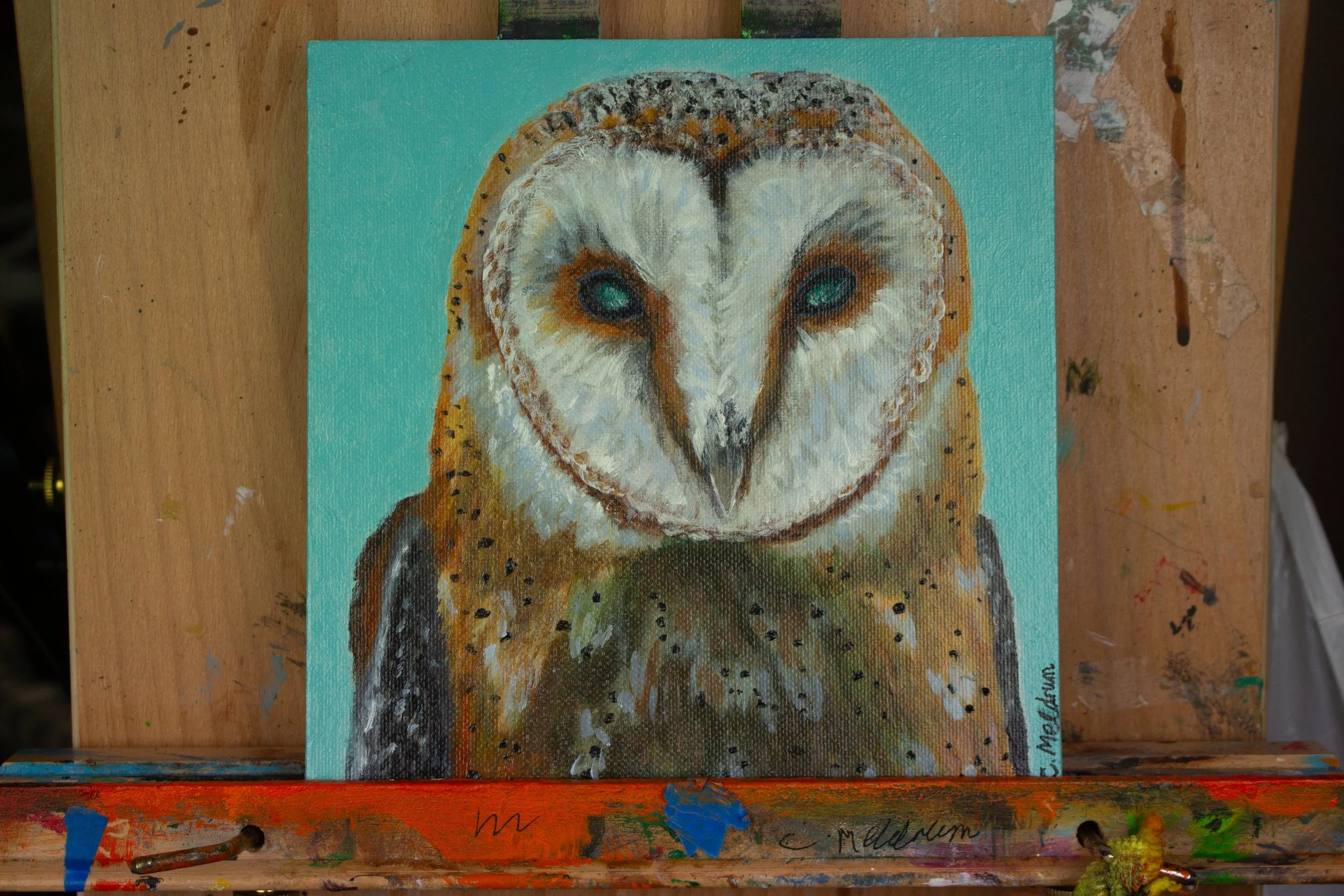 Owl on Blue (Original Painting)