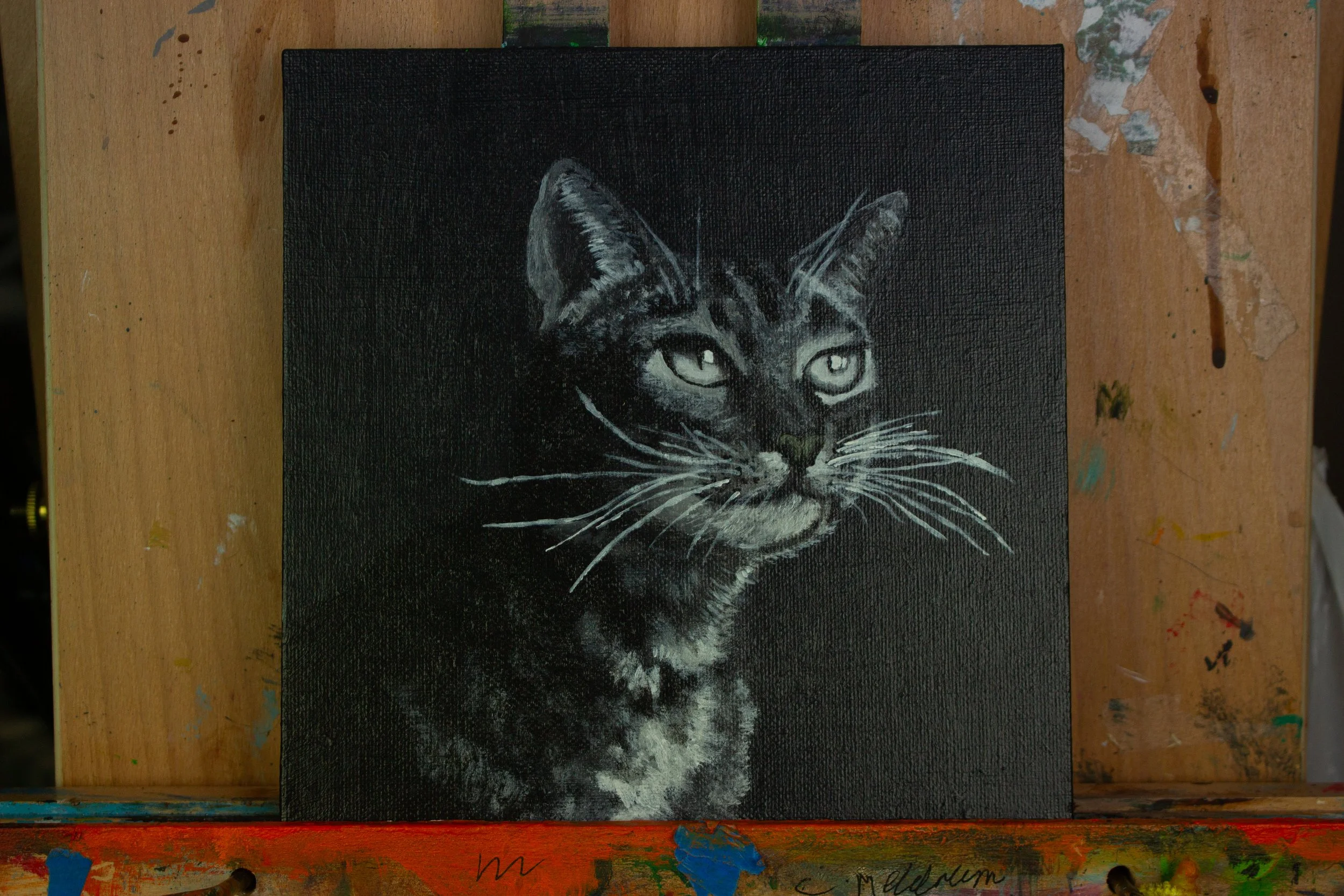 Black and White Cat (Original Painting)