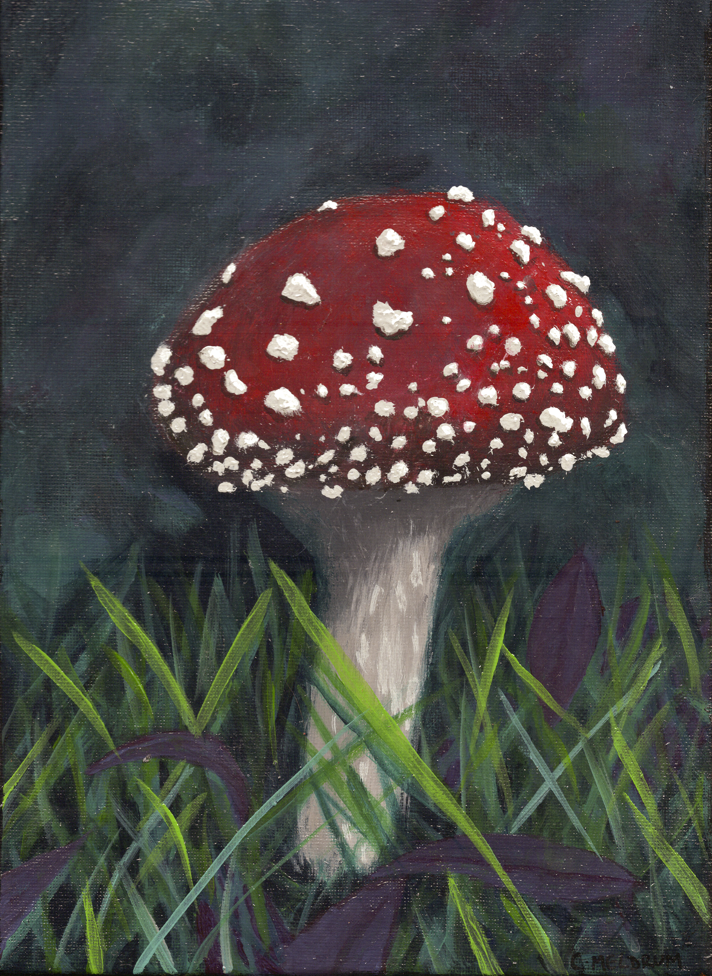 Red Mushroom in Grass.png