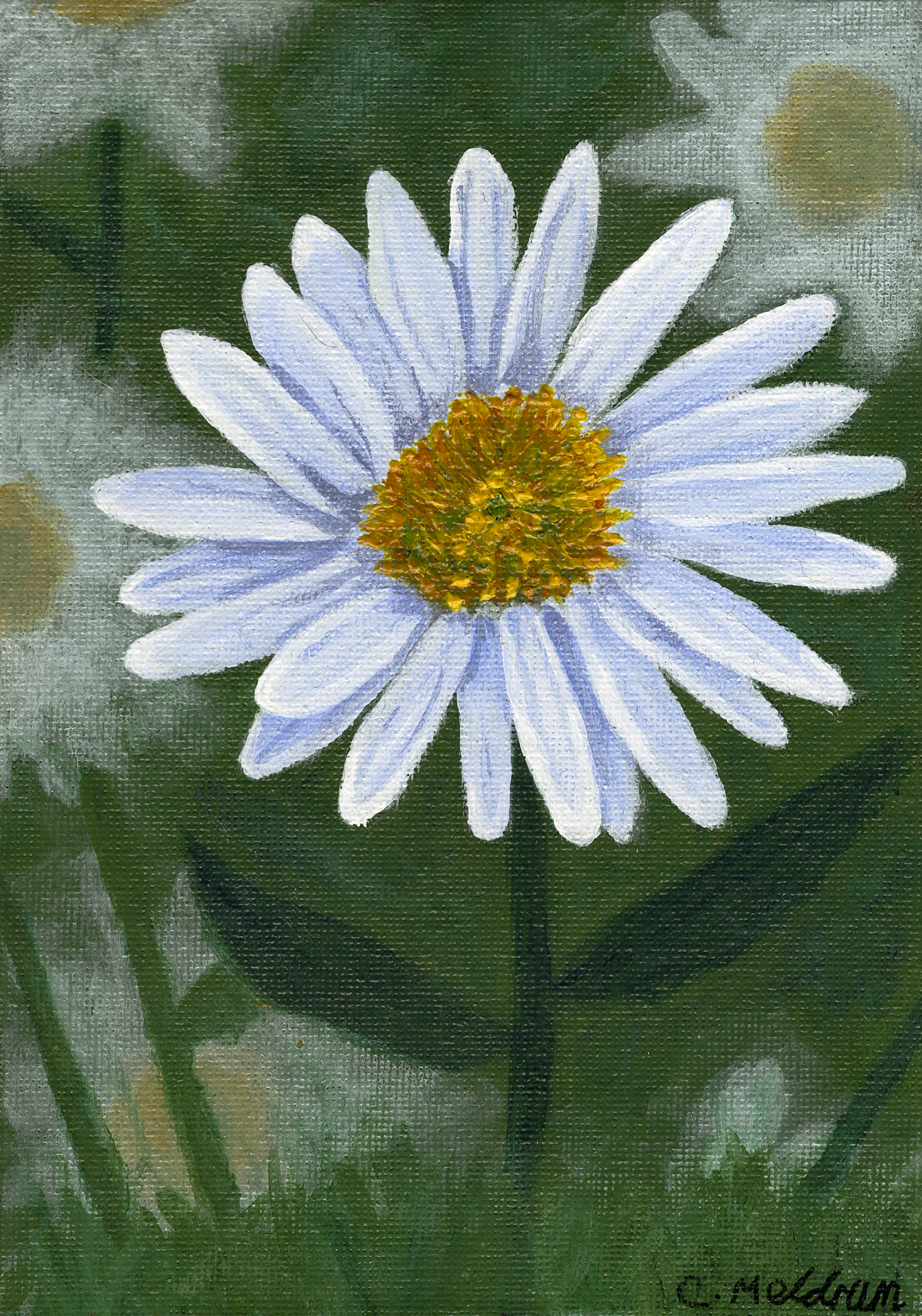 Blooming Daisy.png