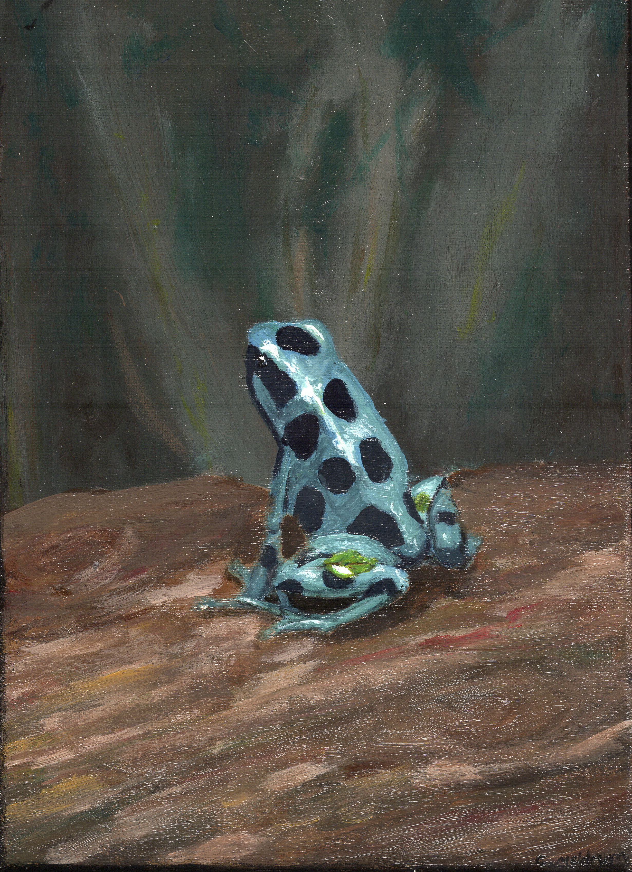 Blue Poison Dart Frog.png