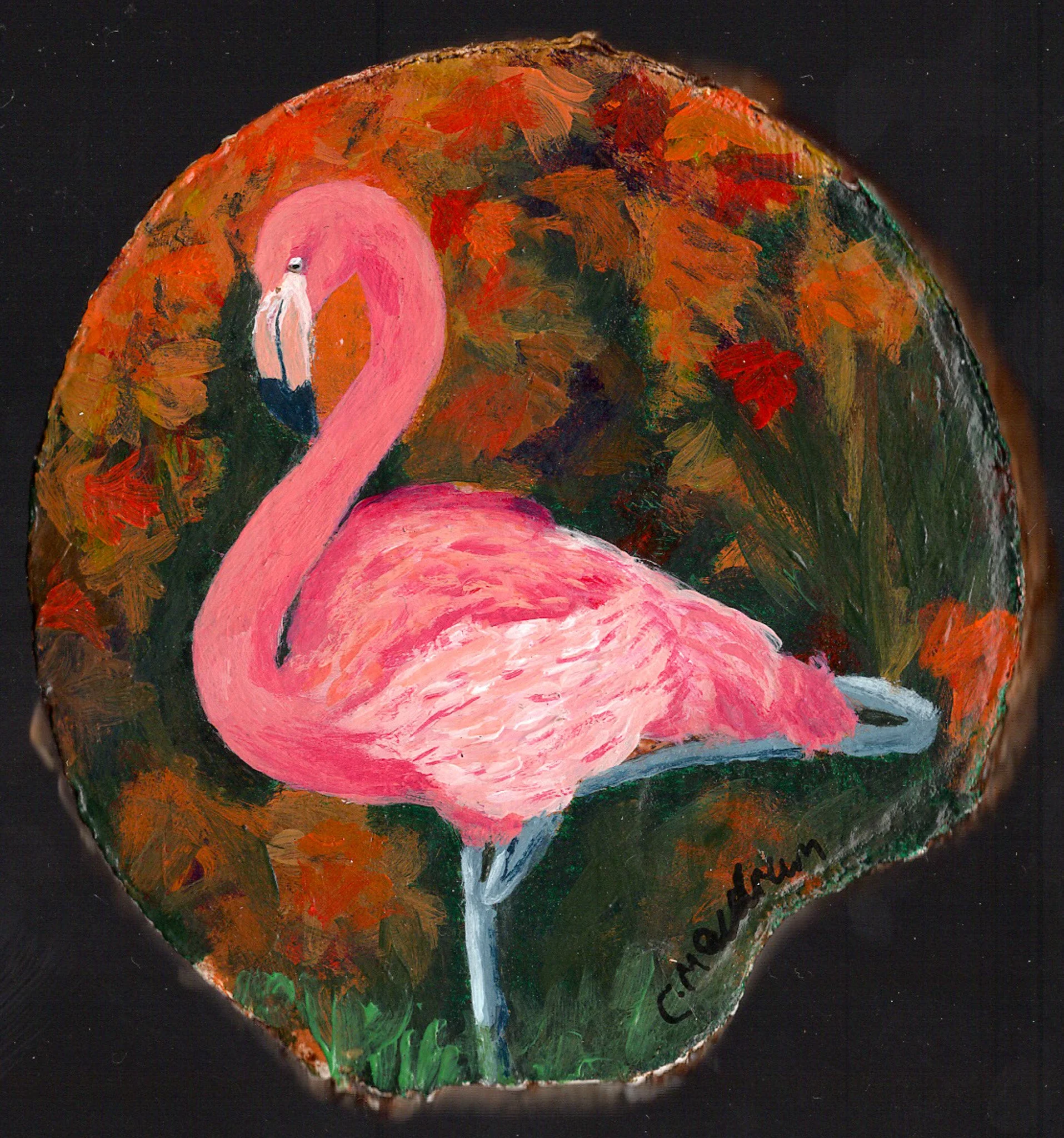 Flamingo