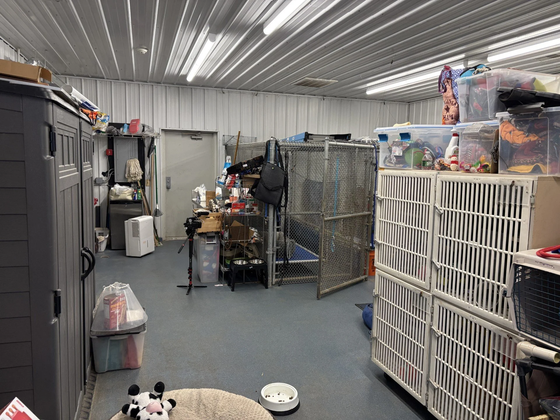 Denville Animal Shelter