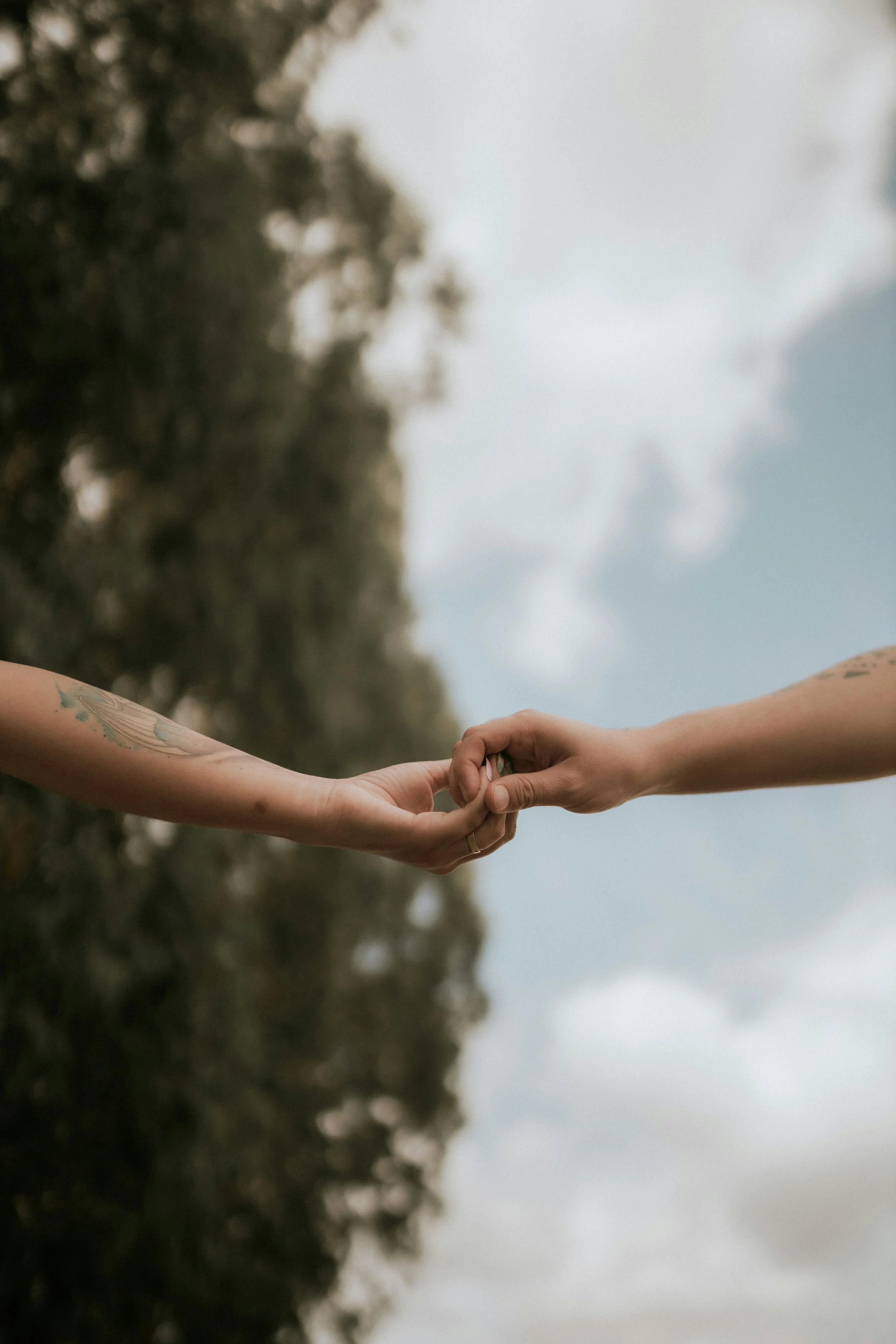 Two people holding hands against a cloudy sky and trees.