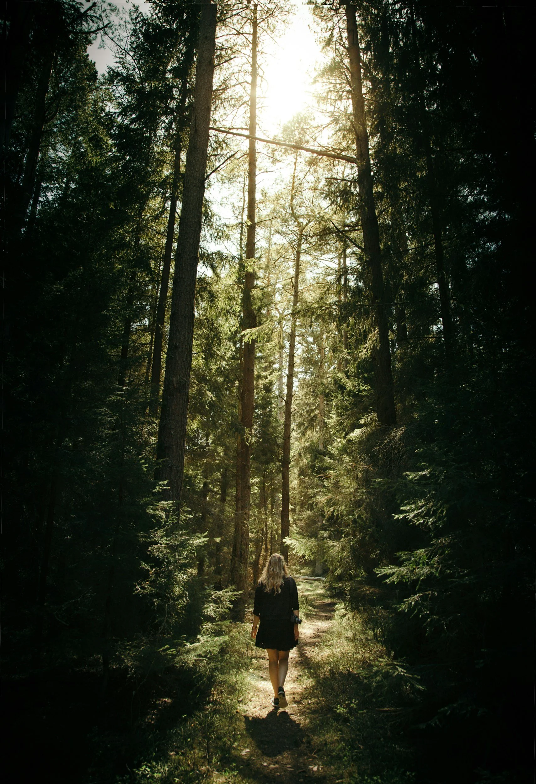 A woman with long blonde hair walking along a forest trail surrounded by tall trees with sunlight shining through the branches.