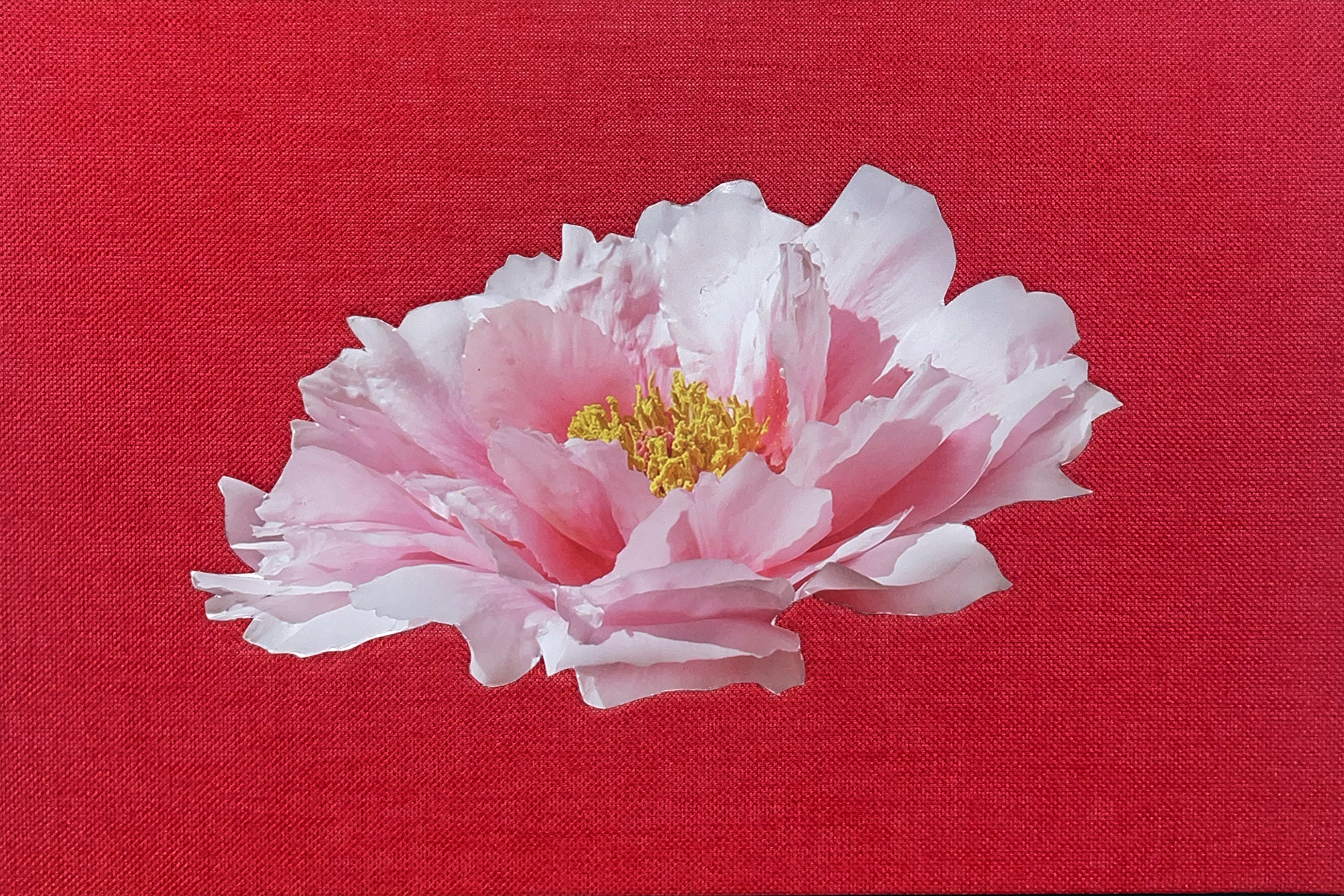 PEONY.png