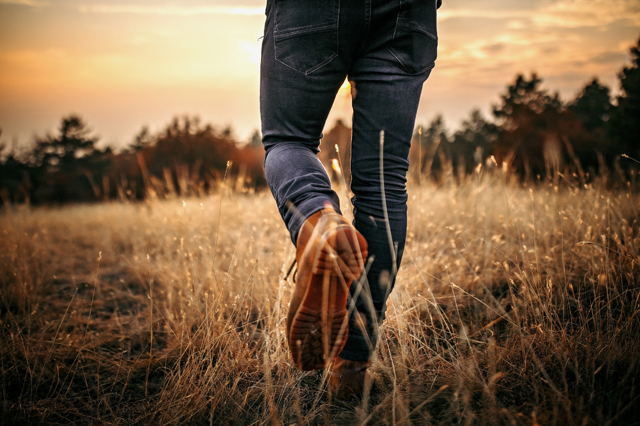 The Consistency Plan