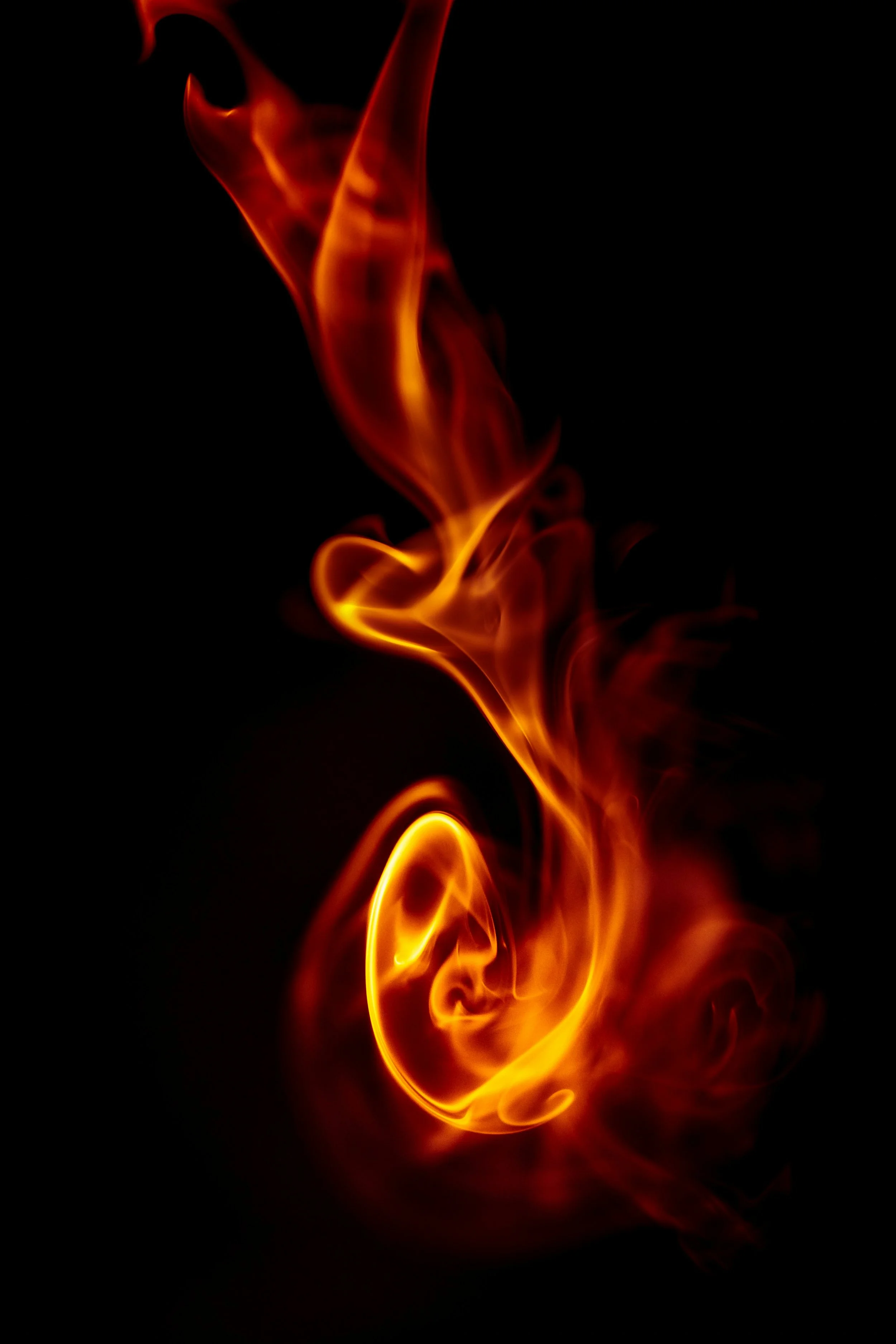 PHOENIX (Tune & Transform Package)