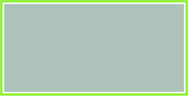 Empty gray rectangular box with a green border.