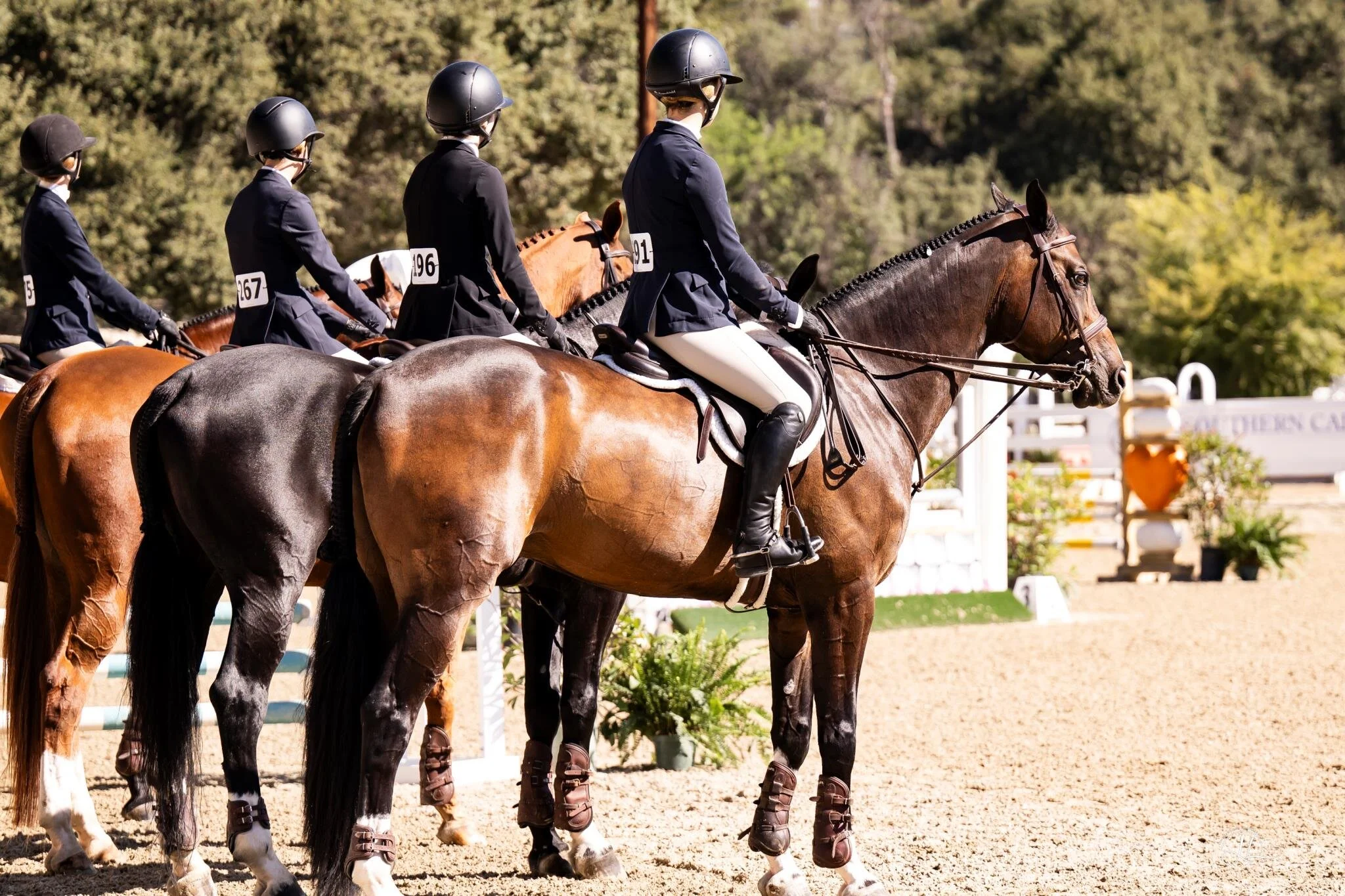 Flintridge Horse Show