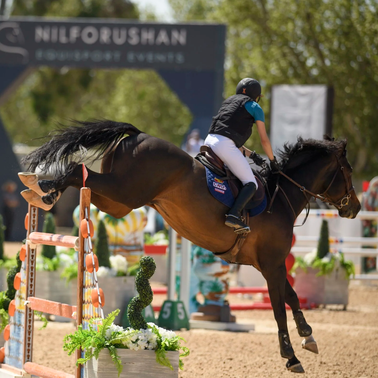 A horse and rider jumping over an obstacle in a show jumping competition at Nilfurushan.