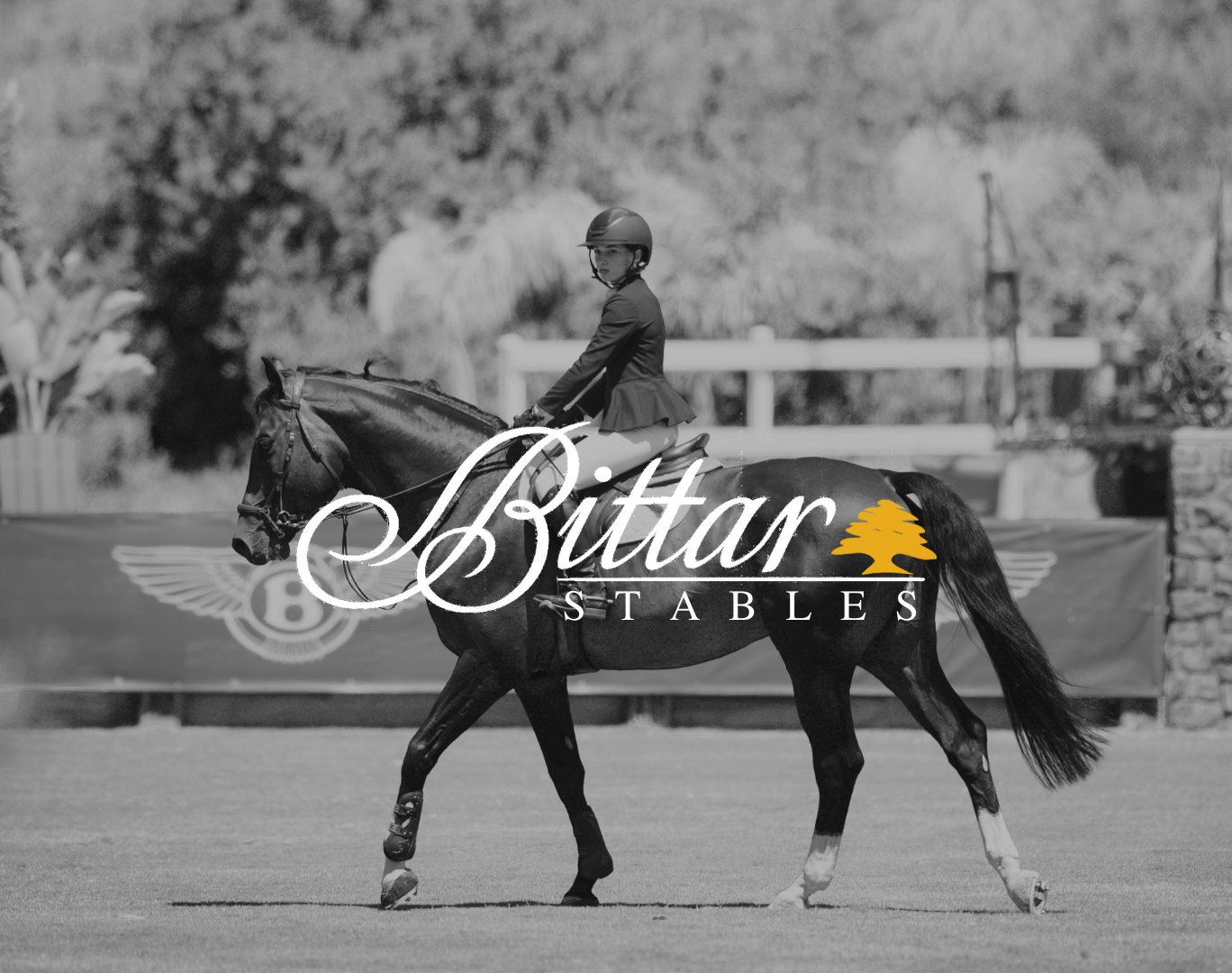 A woman in equestrian attire riding a horse on a field with a logo overlay that reads 'Bitar Stables' including a tree icon.