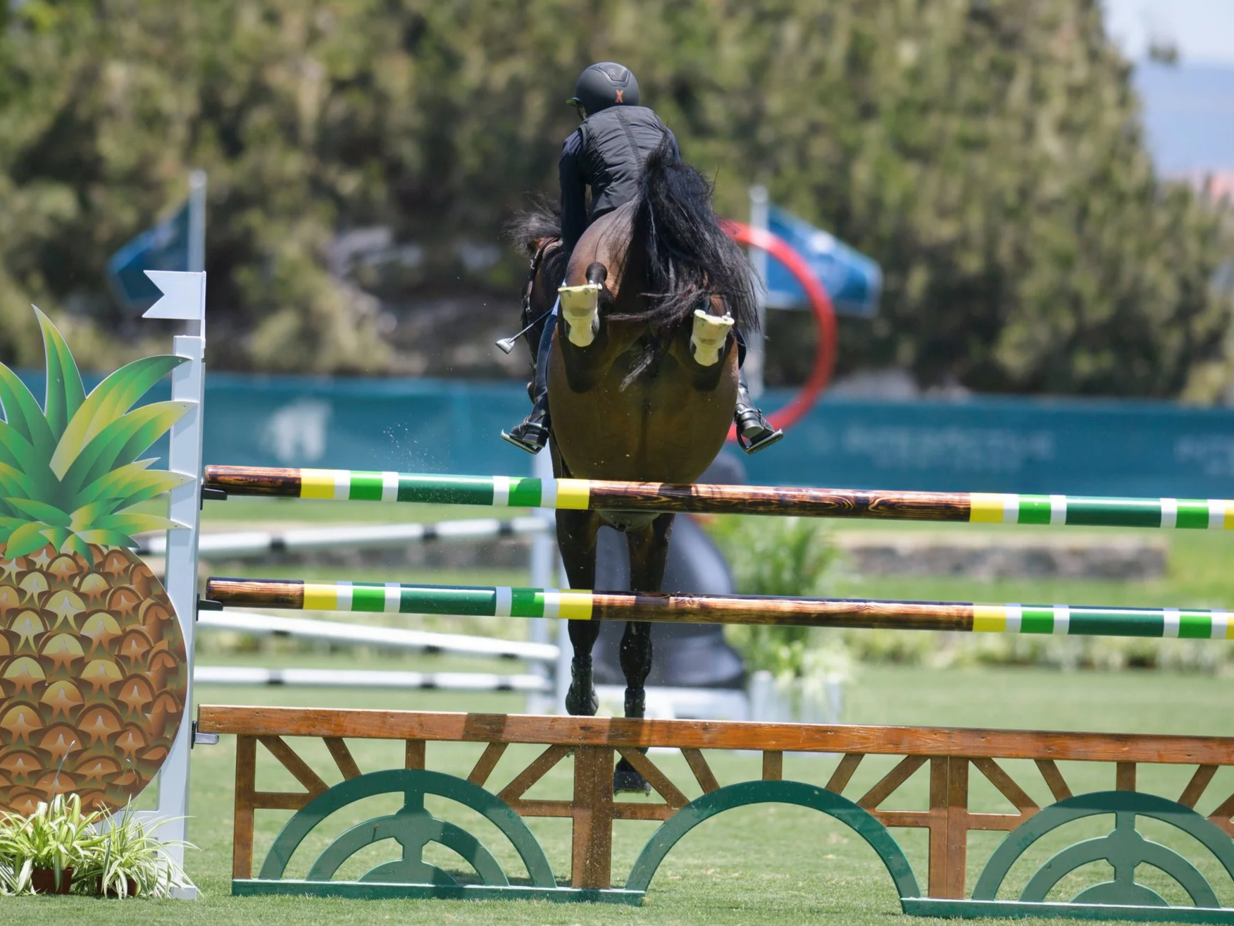 A rider on a horse jumping over an obstacle during a show jumping event.