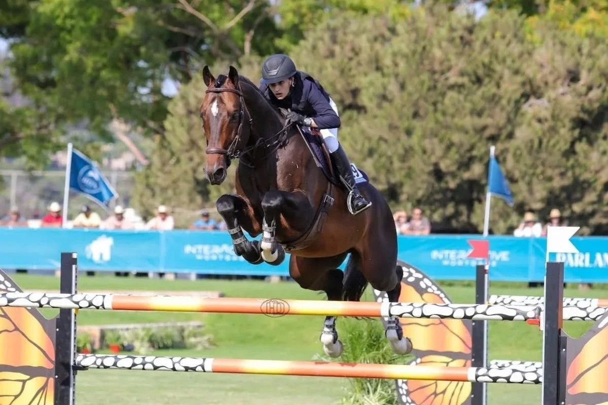 A female equestrian riding a brown horse in a show jumping competition, jumping over a colorful obstacle with a butterfly design, on a grassy field with trees and spectators in the background.