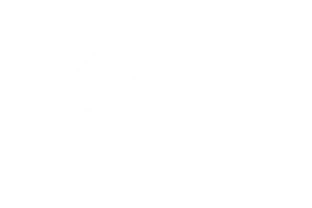 Lilly logo