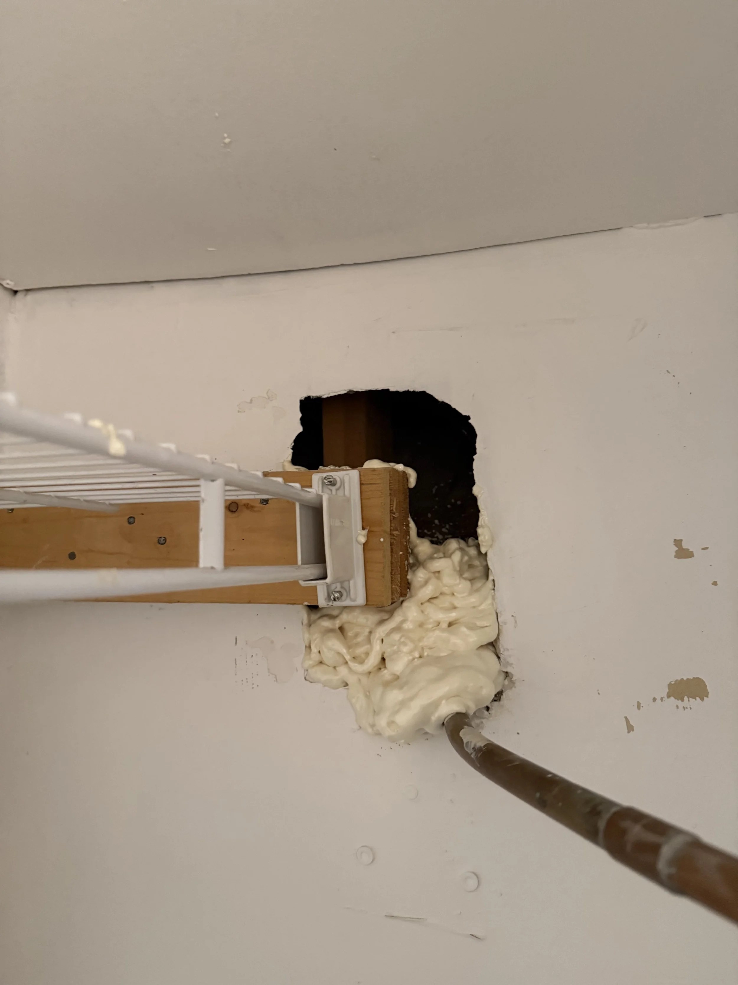 large hole caused by wildlife