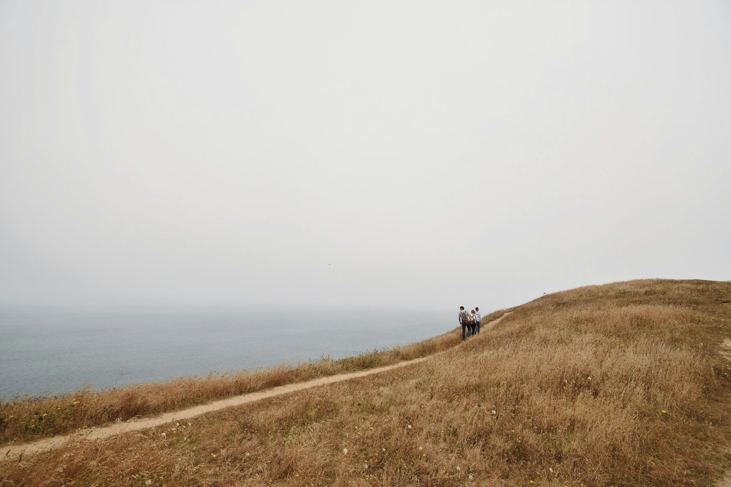 unsplash-image-K-wV_5dIsqs.jpg