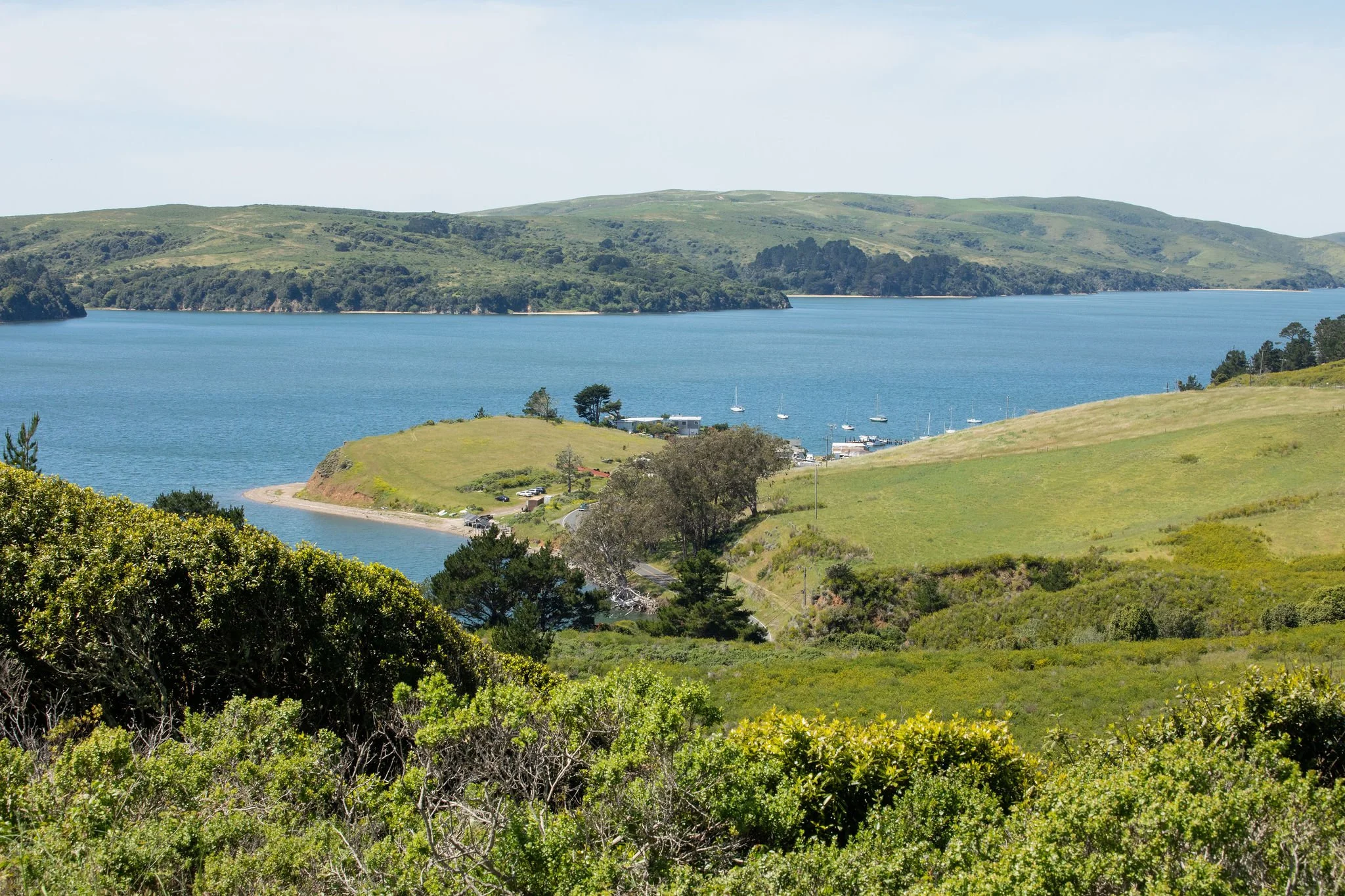 decenzo-angela-san-francisco-lifestyle-photographer-7910.jpg