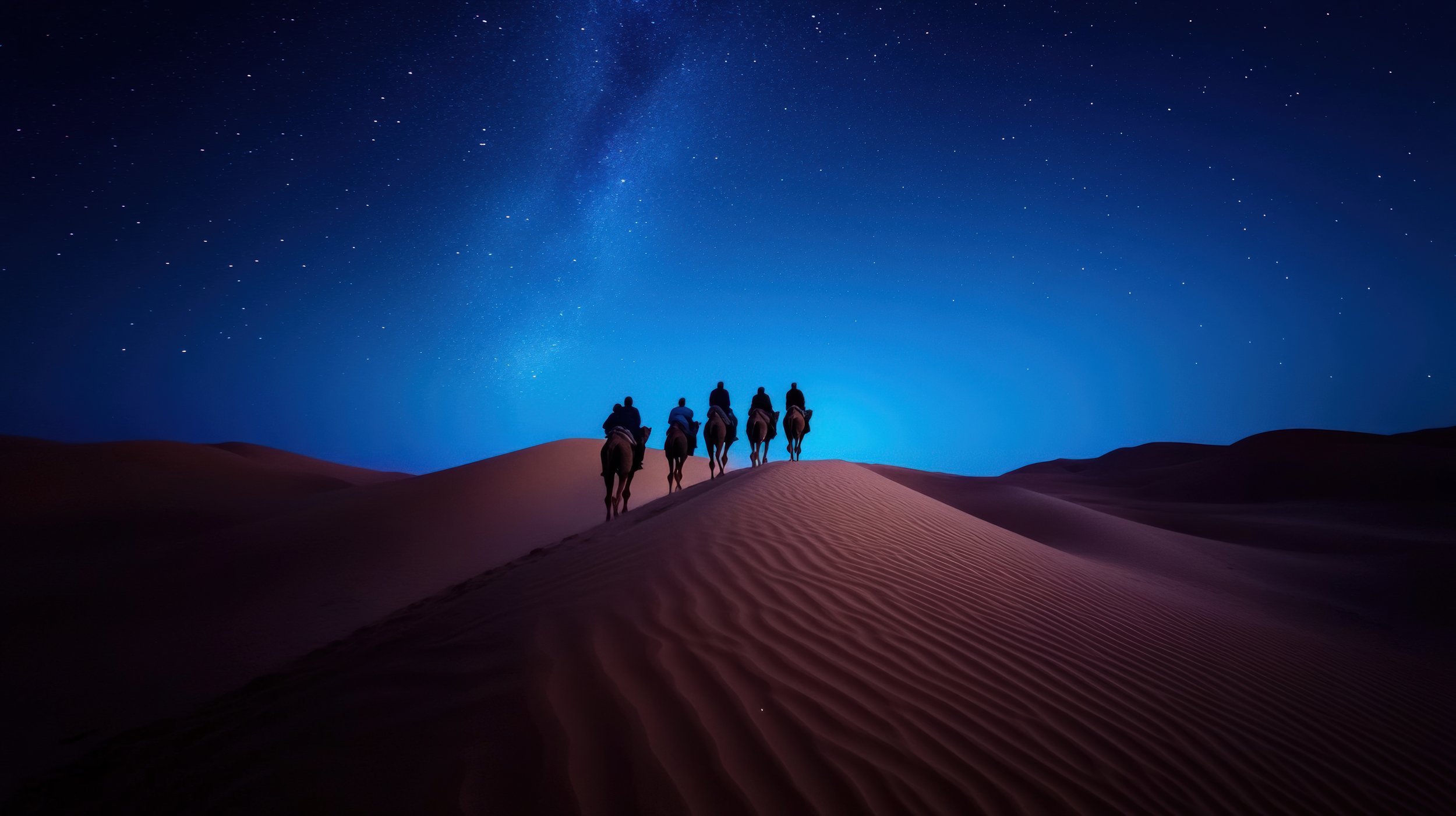 Moroccan camel tour in desert, with starry sky