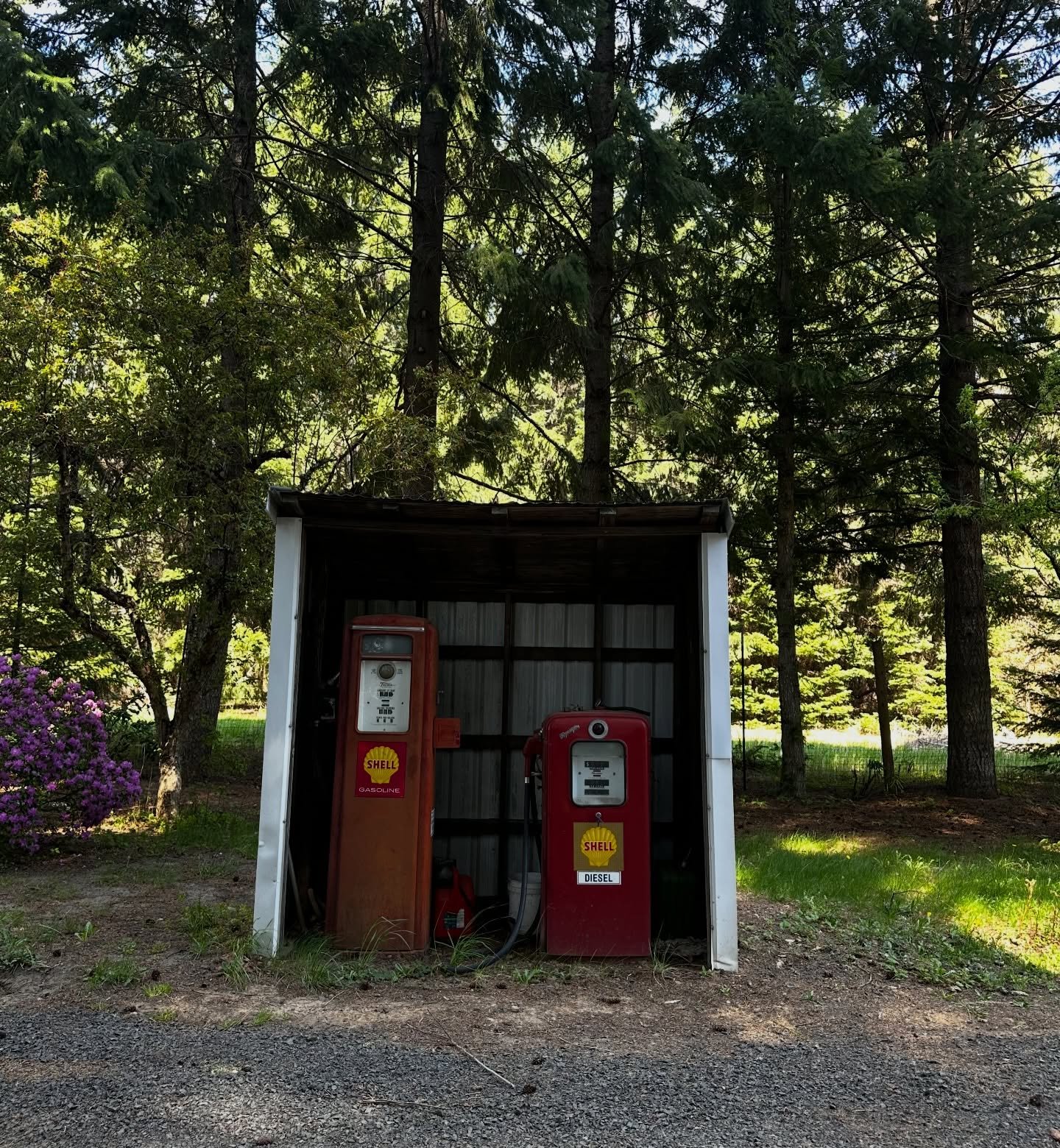 2025 you were beautifully painful. The amount of growth this year brought was equally mirrored by big loss. Thankful for family, community, and another year. ✨

Grandma would probably stop talking to me if she knew I had this screenshot from the ONLY