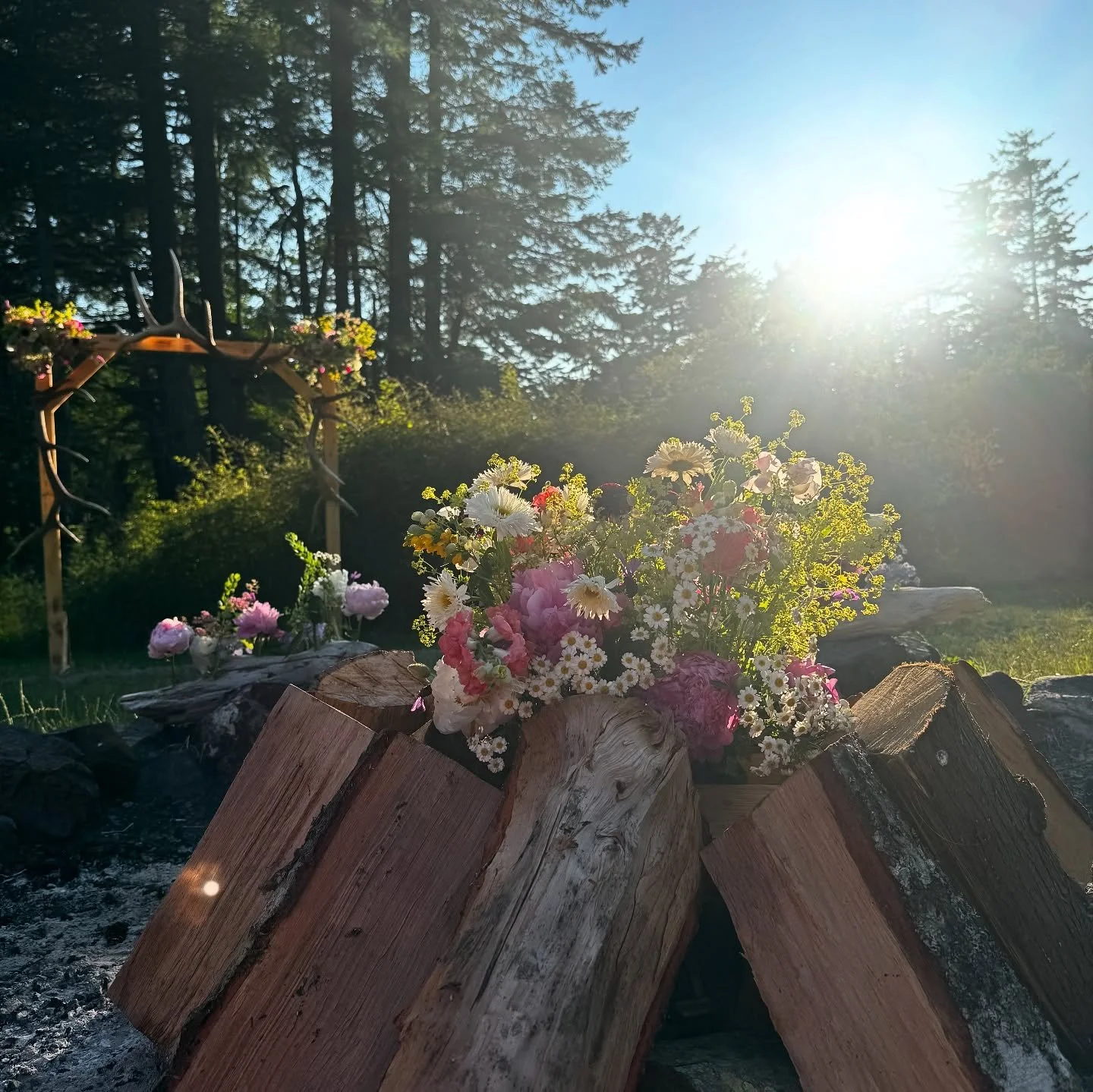 Cheers to Megs and Gus! ✨ beautiful day filled with so much love. It truly was and island-Montana adventure 🦌 🌊 

Thankful for all who made the trek!