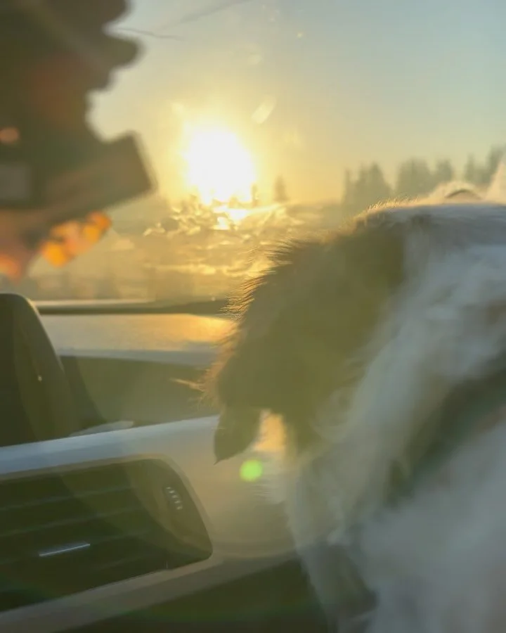 More of January ❄️✨💞