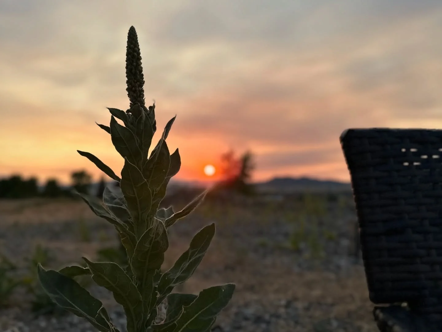 Just missing the sunsets and wide open spaces from this summer ✨