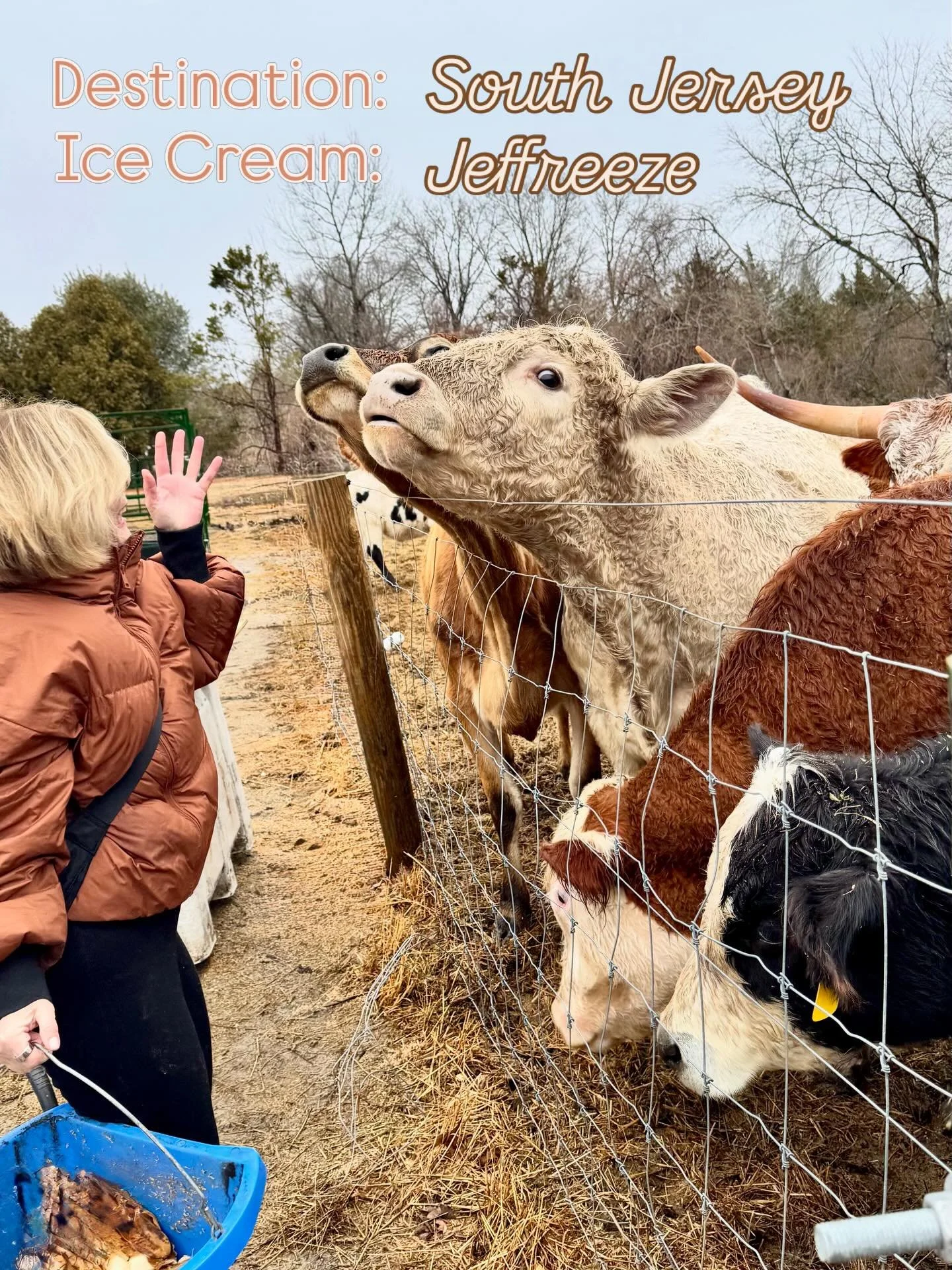 Animals - ice cream - and hoagies..
So much is closed at the Jersey shore in winter.  We found  these fun and funky spots open on a drizzly day in February. SAVE✅ this for an afternoon adventure  between the Pine Barrens and the beach. 

@straightsho
