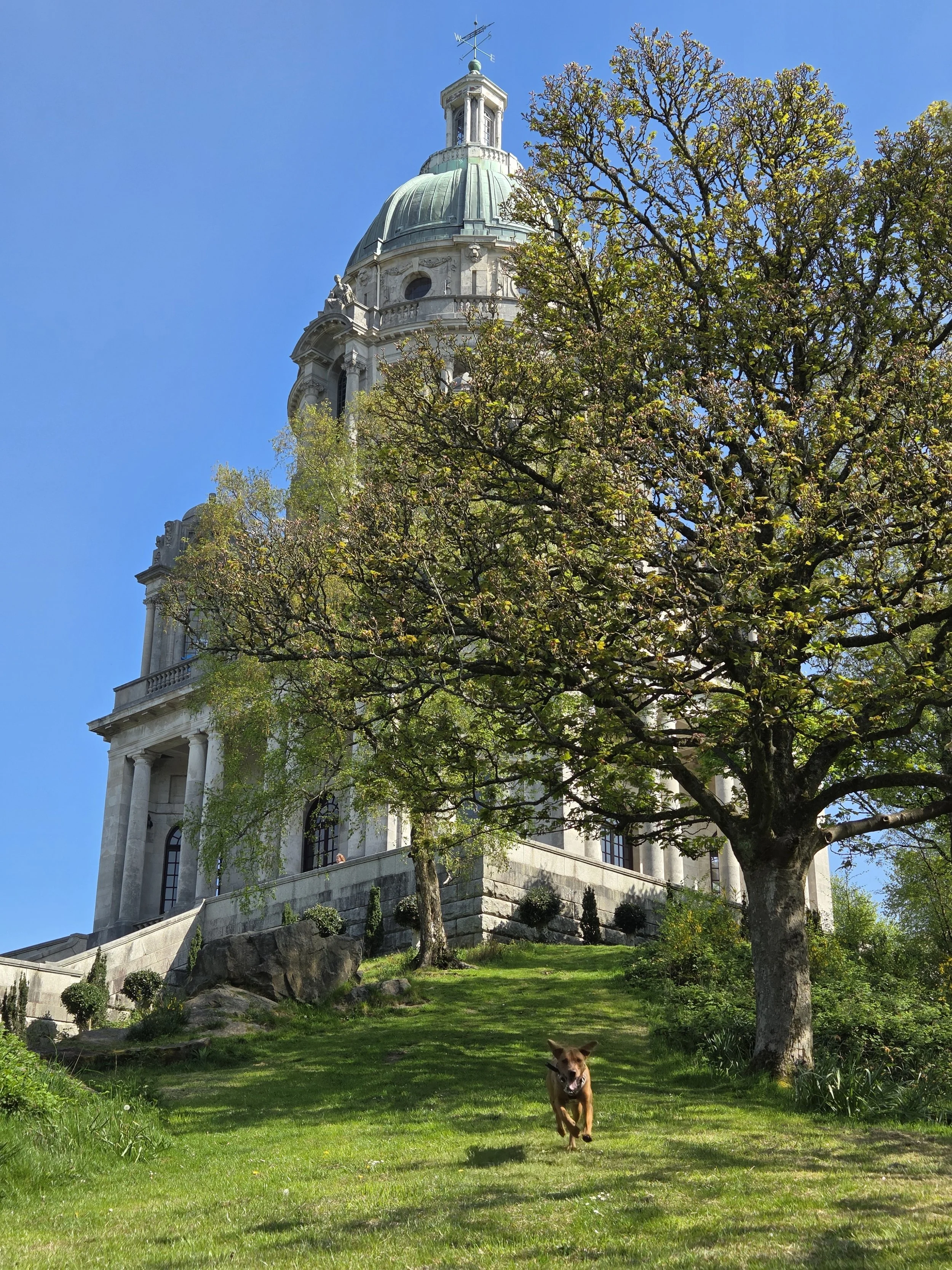 Walking Dogs in Lancaster, UK: A Local Guide for Happy, Healthy Dogs