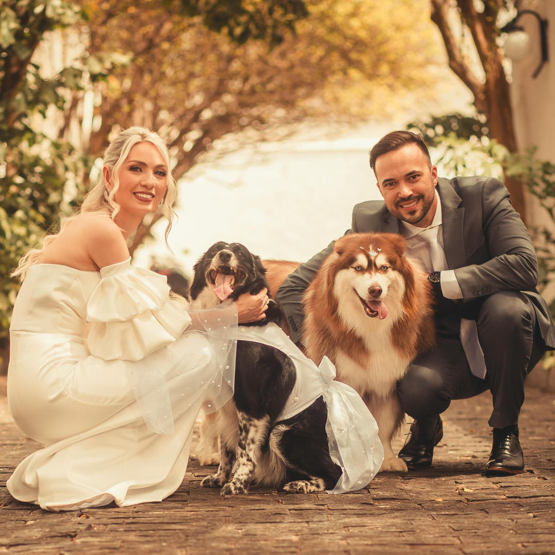 wedding with dogs