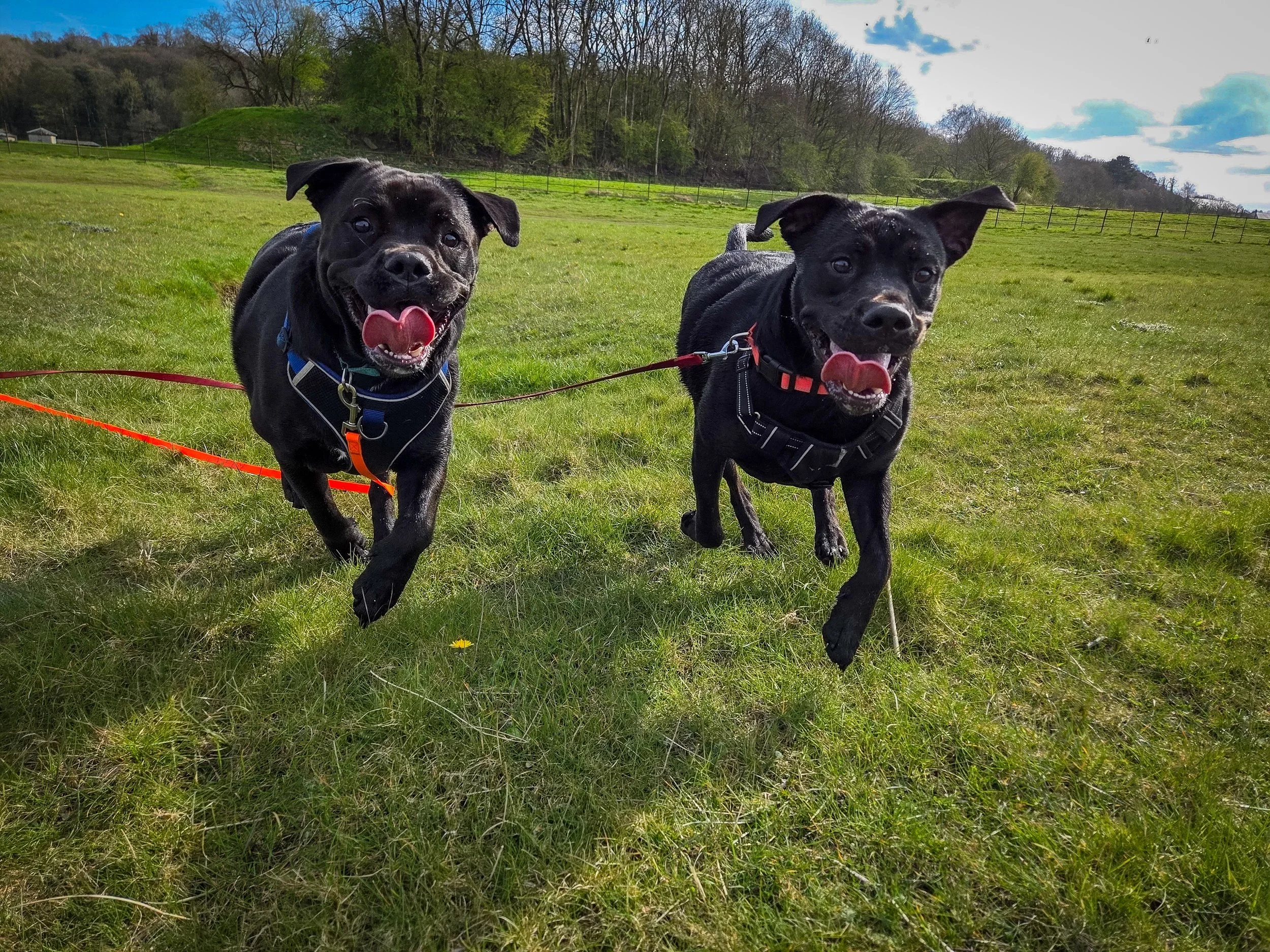ted&ellierunning.jpg