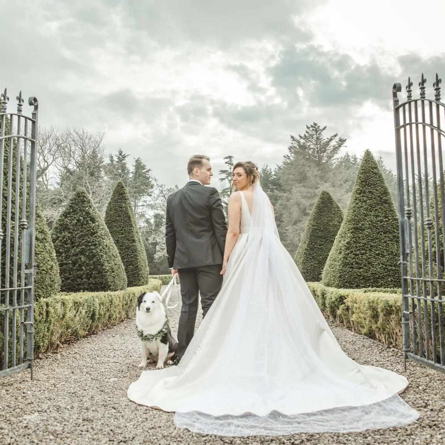 Two people at their wedding with their dog