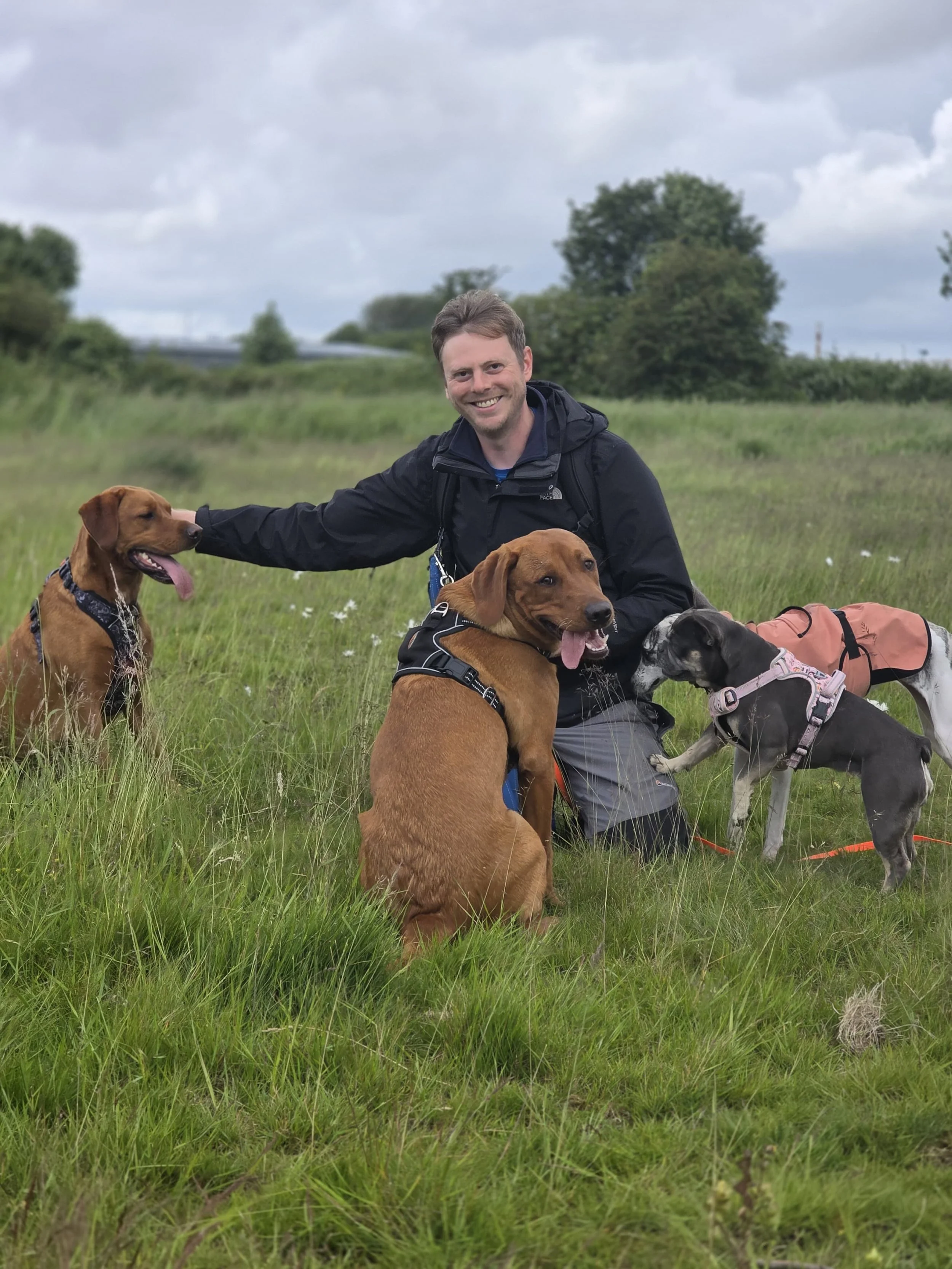 Man sat on the floor with 4 dogs
