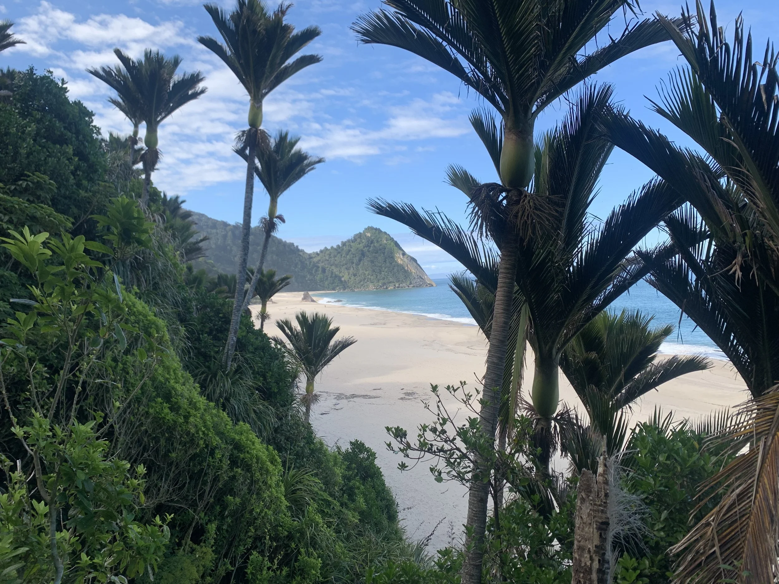 Destination Weddings: an honest reflection