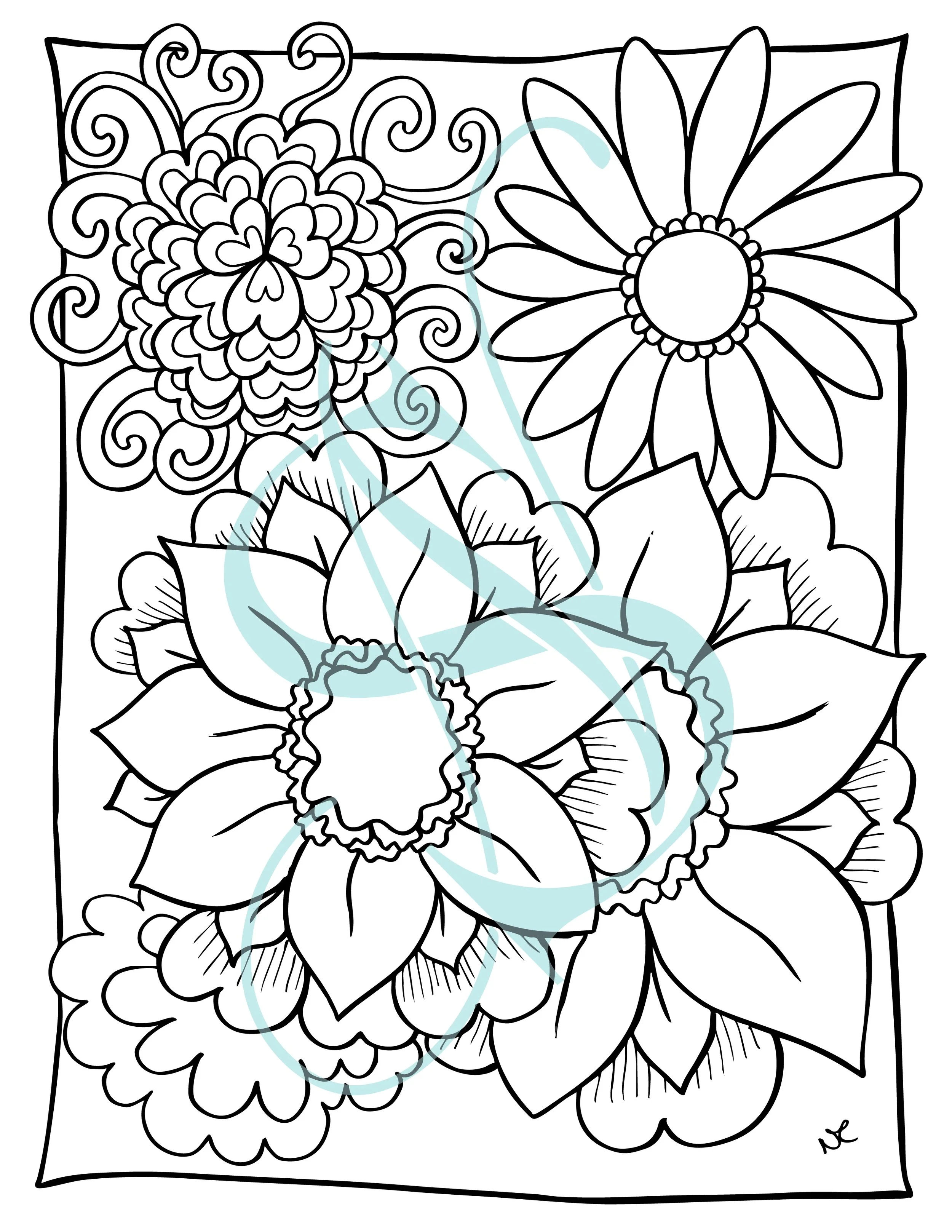 Sx Jan 2026 WC-03.jpg