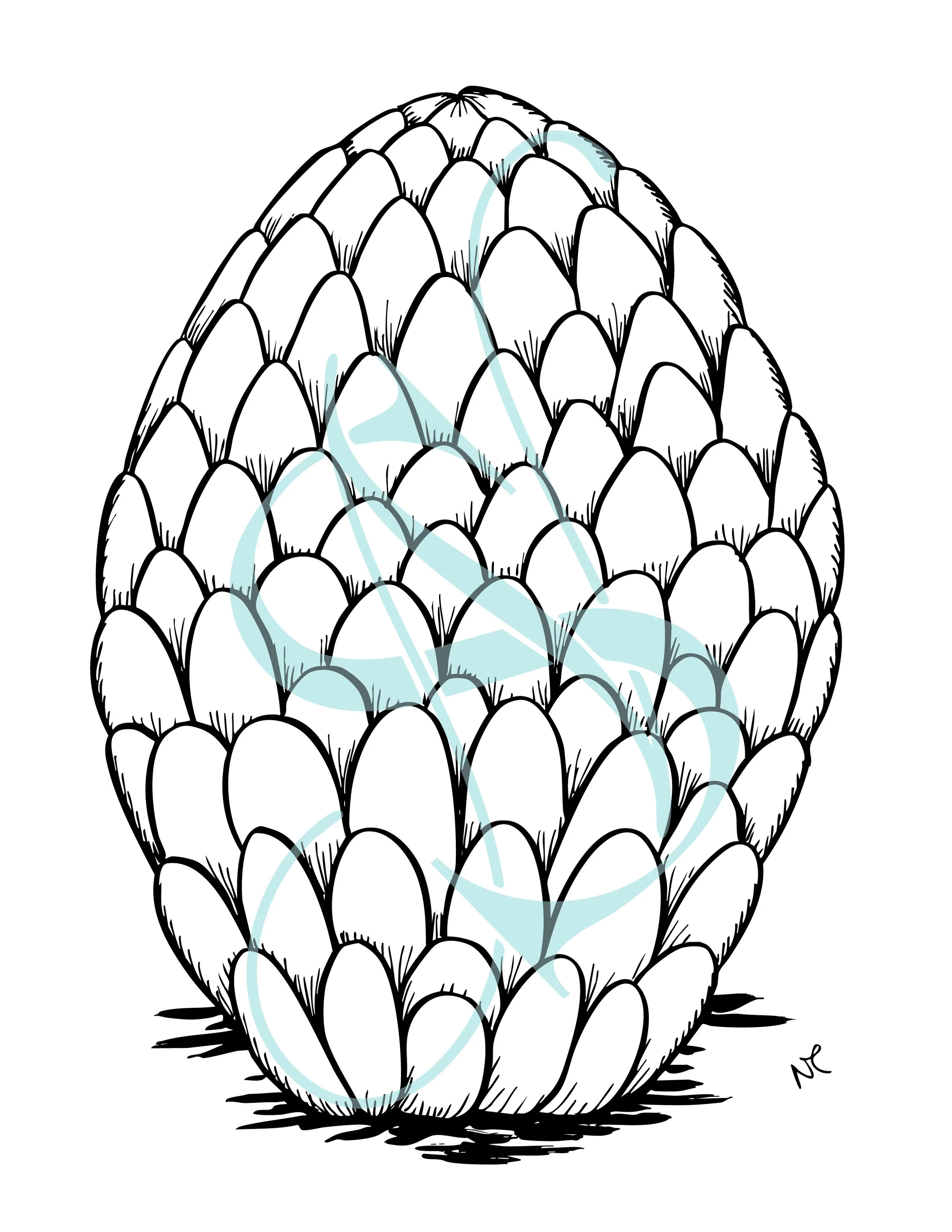 Sx Jan 2026 WC-04.jpg