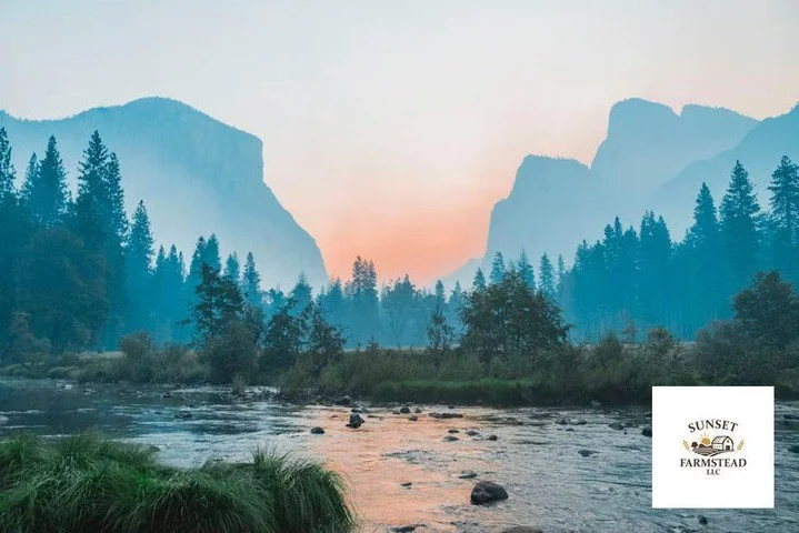 Every egg, loaf, and bouquet from our farm helps our community grow a little stronger. Choosing local keeps dollars in our neighborhoods, builds real connections, and shapes a resilient food system we can all rely on. Thank you for supporting Sunset 