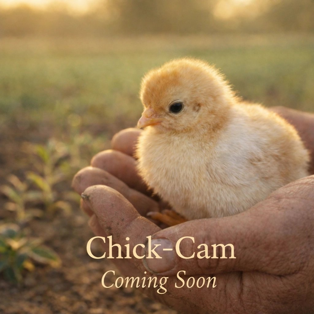 Spring is officially in the air here in Macon County, and we are loving every minute of it!

The race is on to get our plants in the ground now that those last frost dates are finally passing. We&rsquo;re out here working in harmony with nature to bu