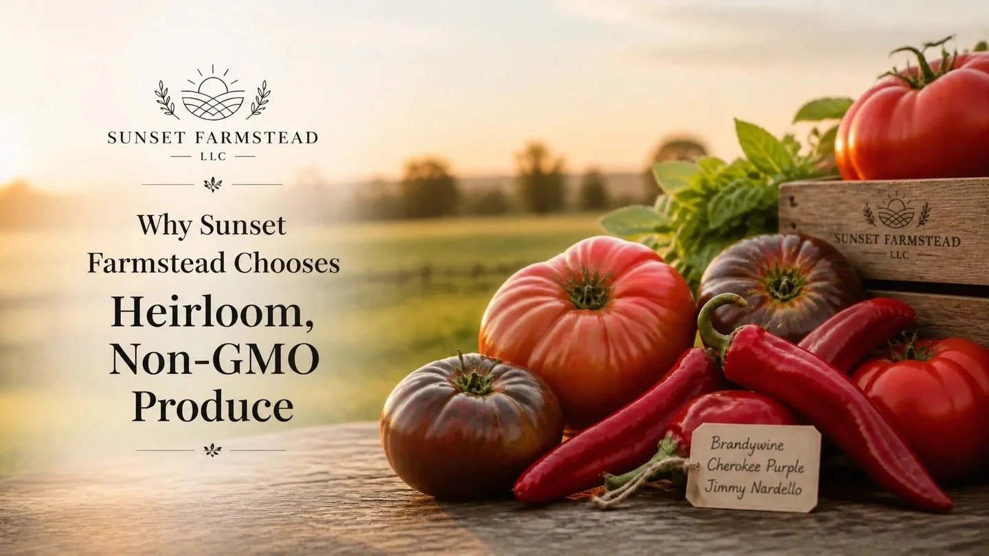 Why settle for a tomato that tastes like a cardboard box?

At Sunset Farmstead, we think you deserve better. We choose heirloom and non-GMO produce because flavor, tradition, and your health matter more to us than "shelf-life." We grow food