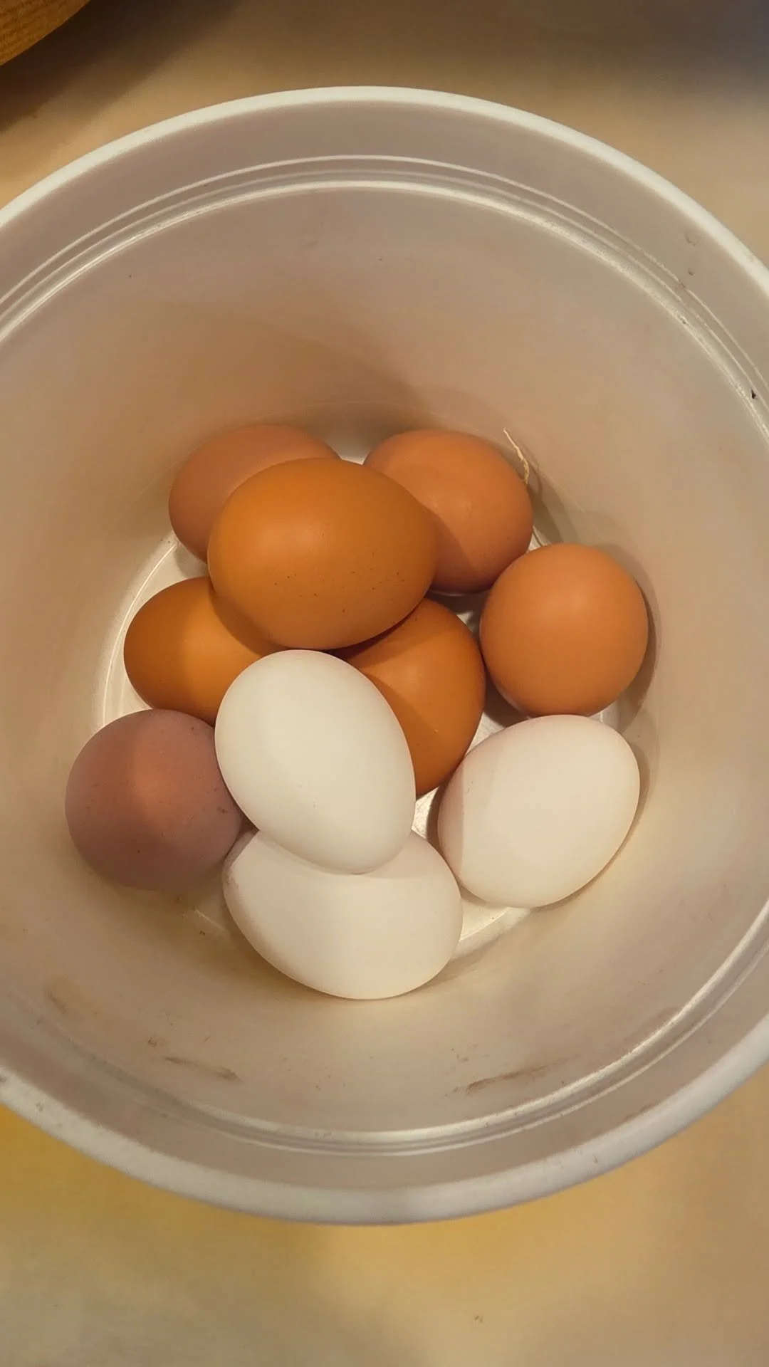 Fresh Farm Eggs