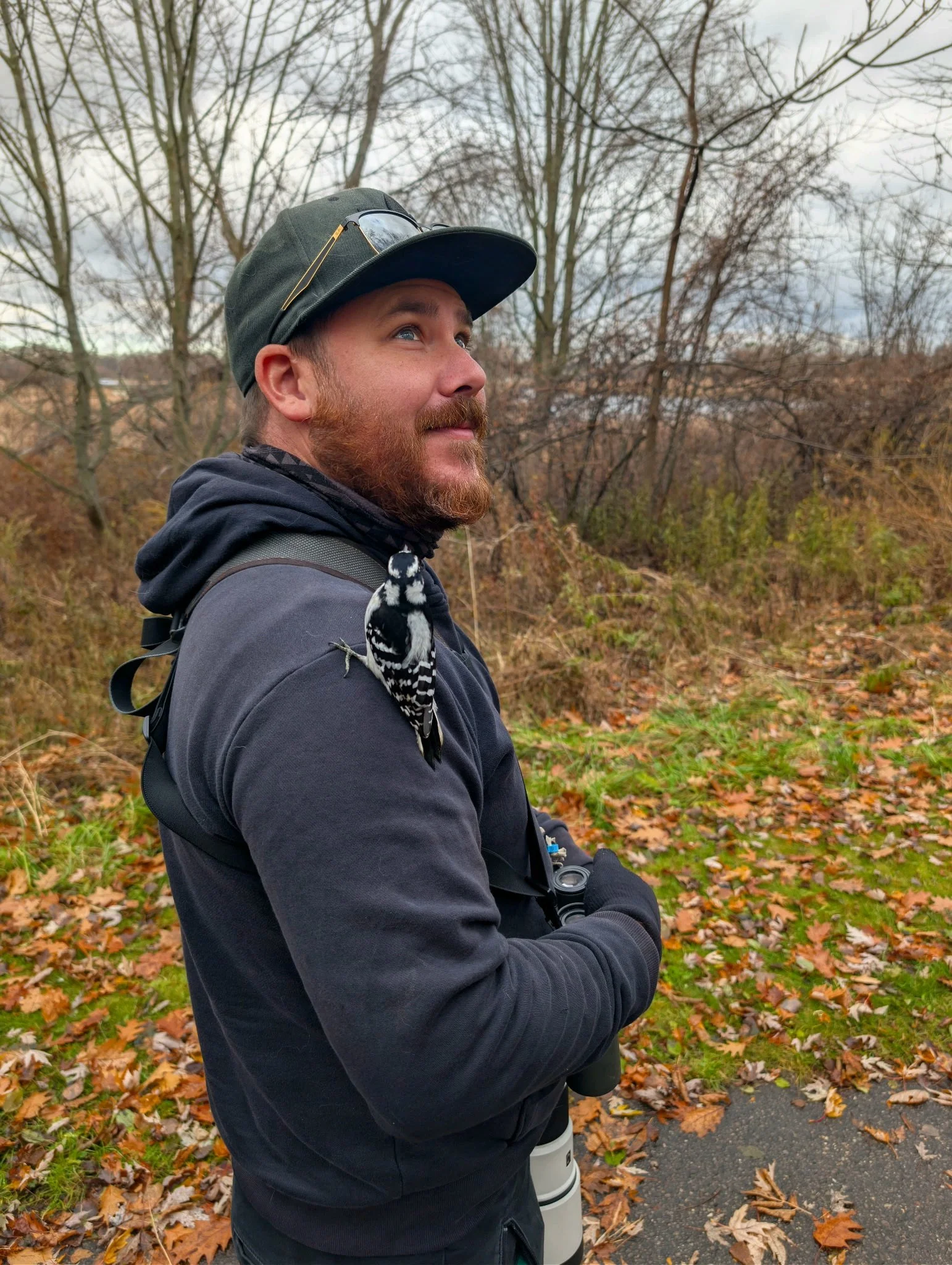 A man with a beard and a black hat with sunglasses, wearing a black jacket, is outdoors in a wooded area with fallen autumn leaves. A black and white woodpecker is perched on his right shoulder.
