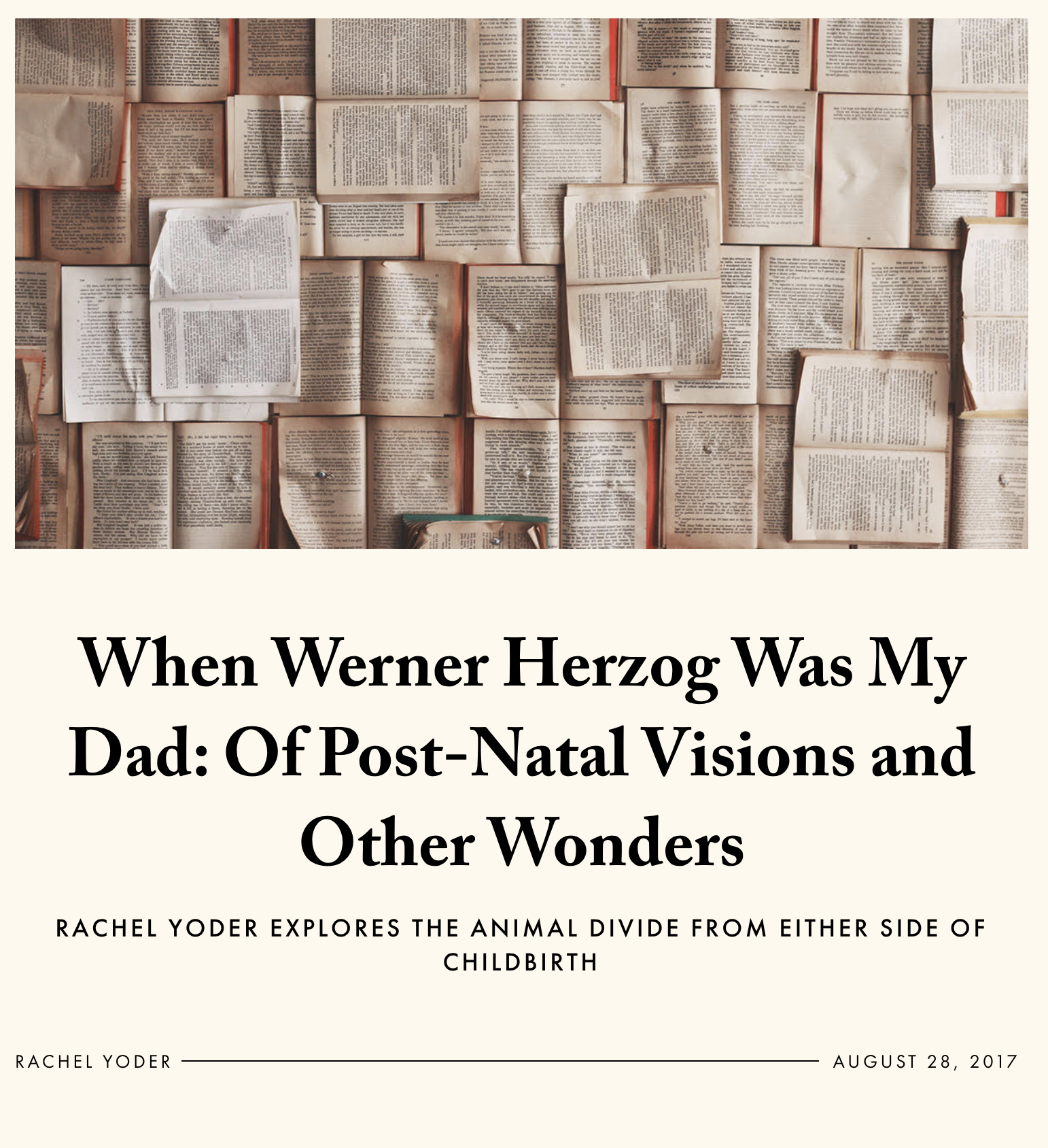 Rachel Yoder in LitHub